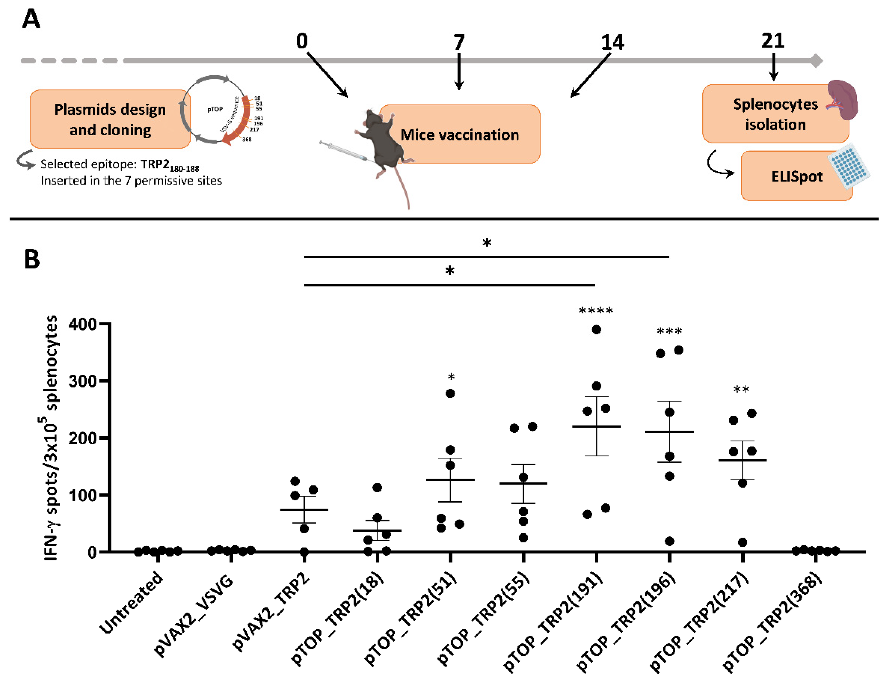 Pharmaceutics 14 01025 g002 550