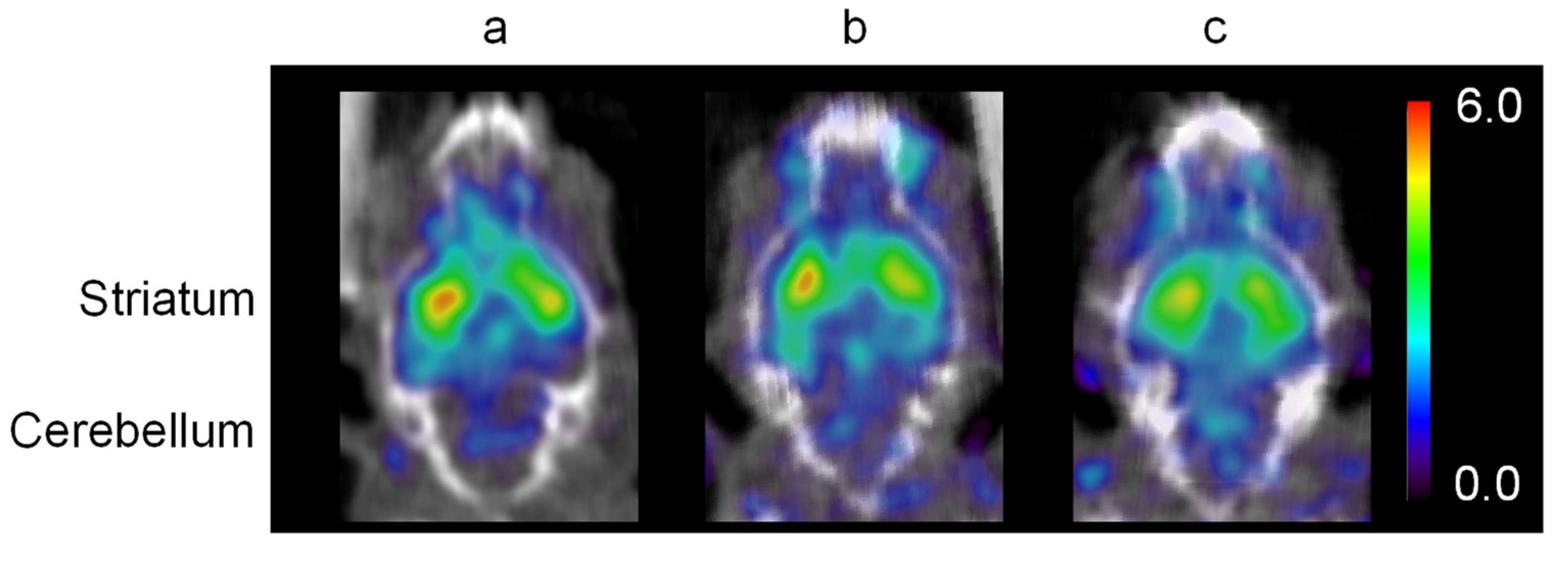 Pharmaceutics 14 01026 g003 550