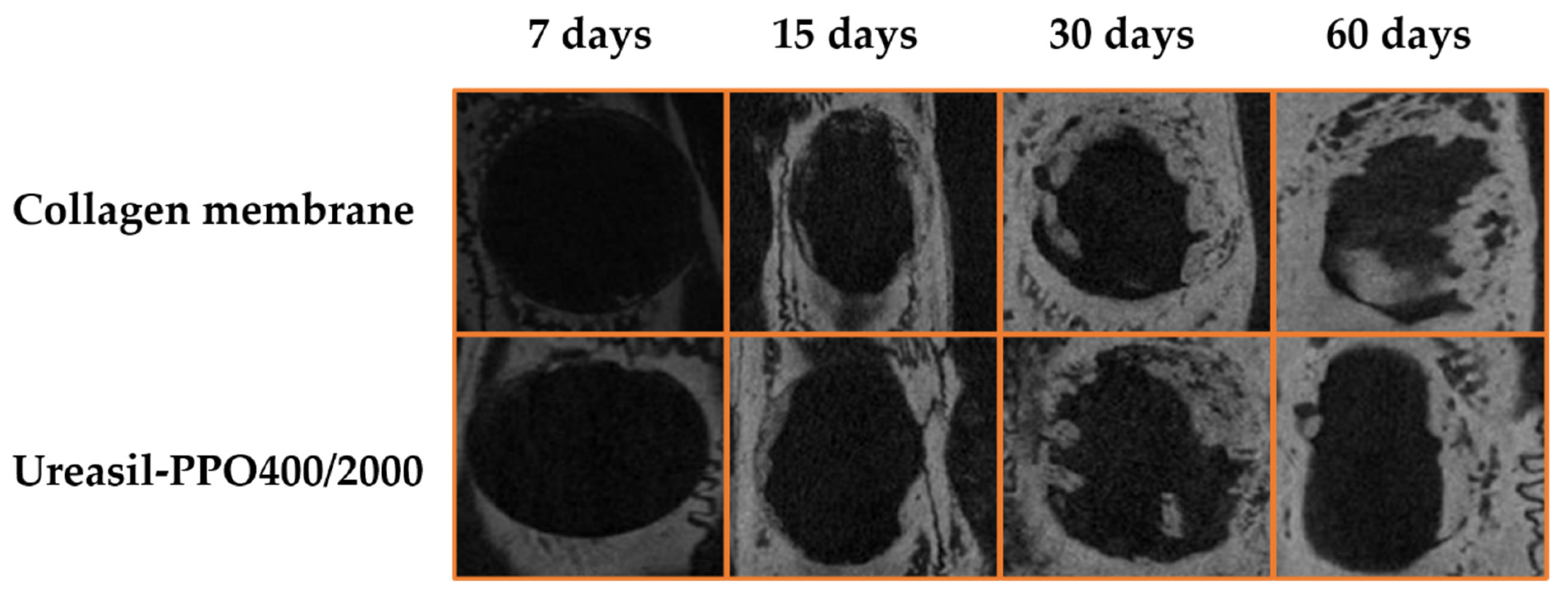 Pharmaceutics 14 01027 g007 550