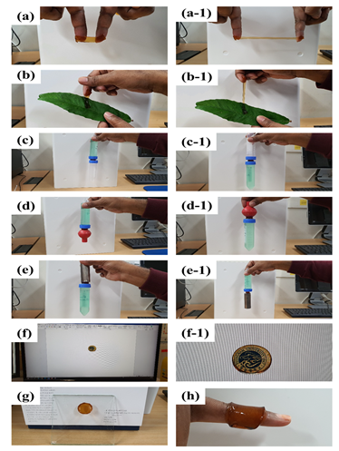Pharmaceutics 14 01028 g001