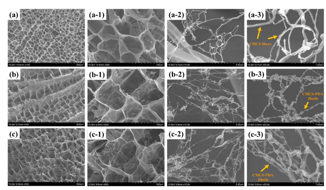 Pharmaceutics 14 01028 g005