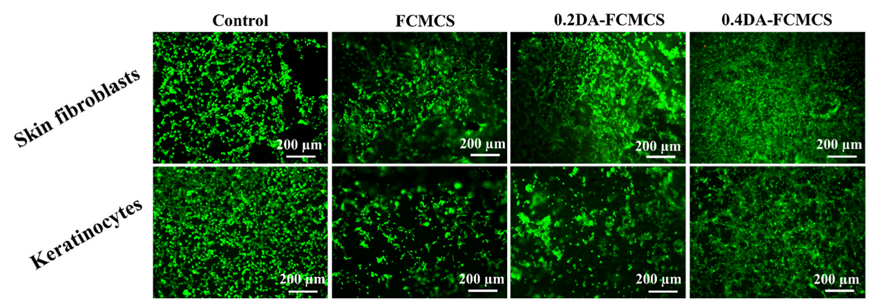 Pharmaceutics 14 01028 g009
