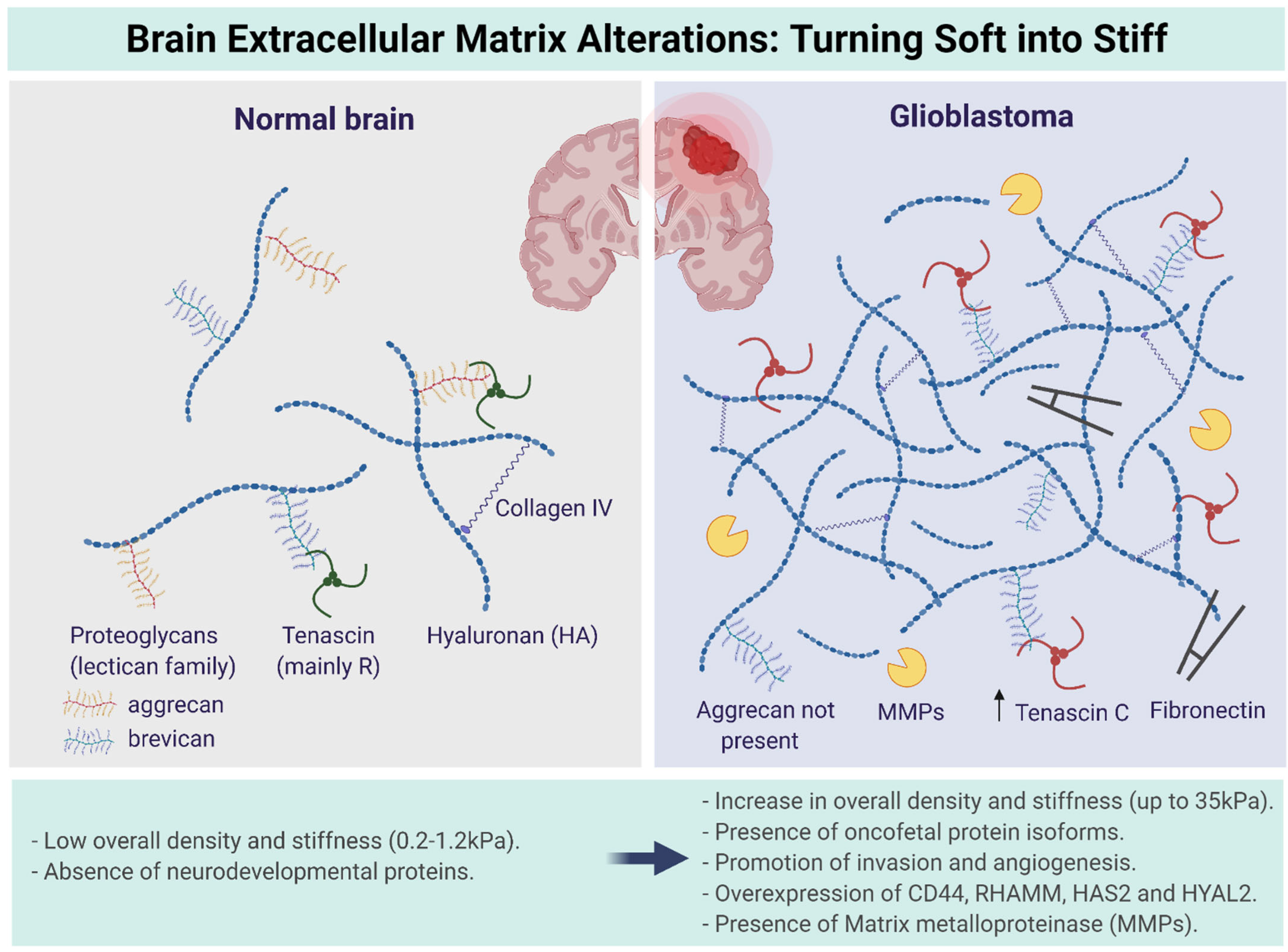 Pharmaceutics 14 01031 g002