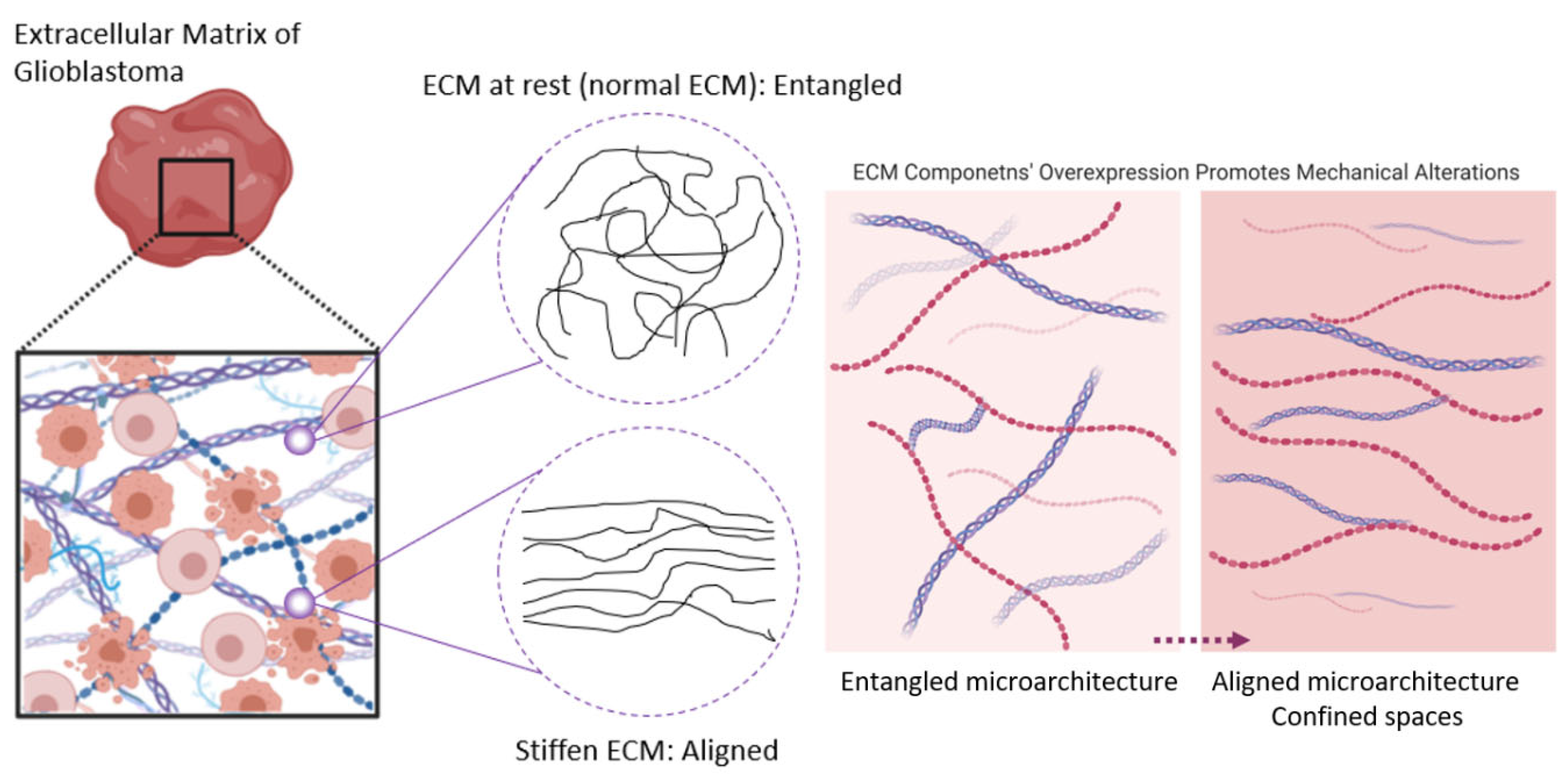 Pharmaceutics 14 01031 g004