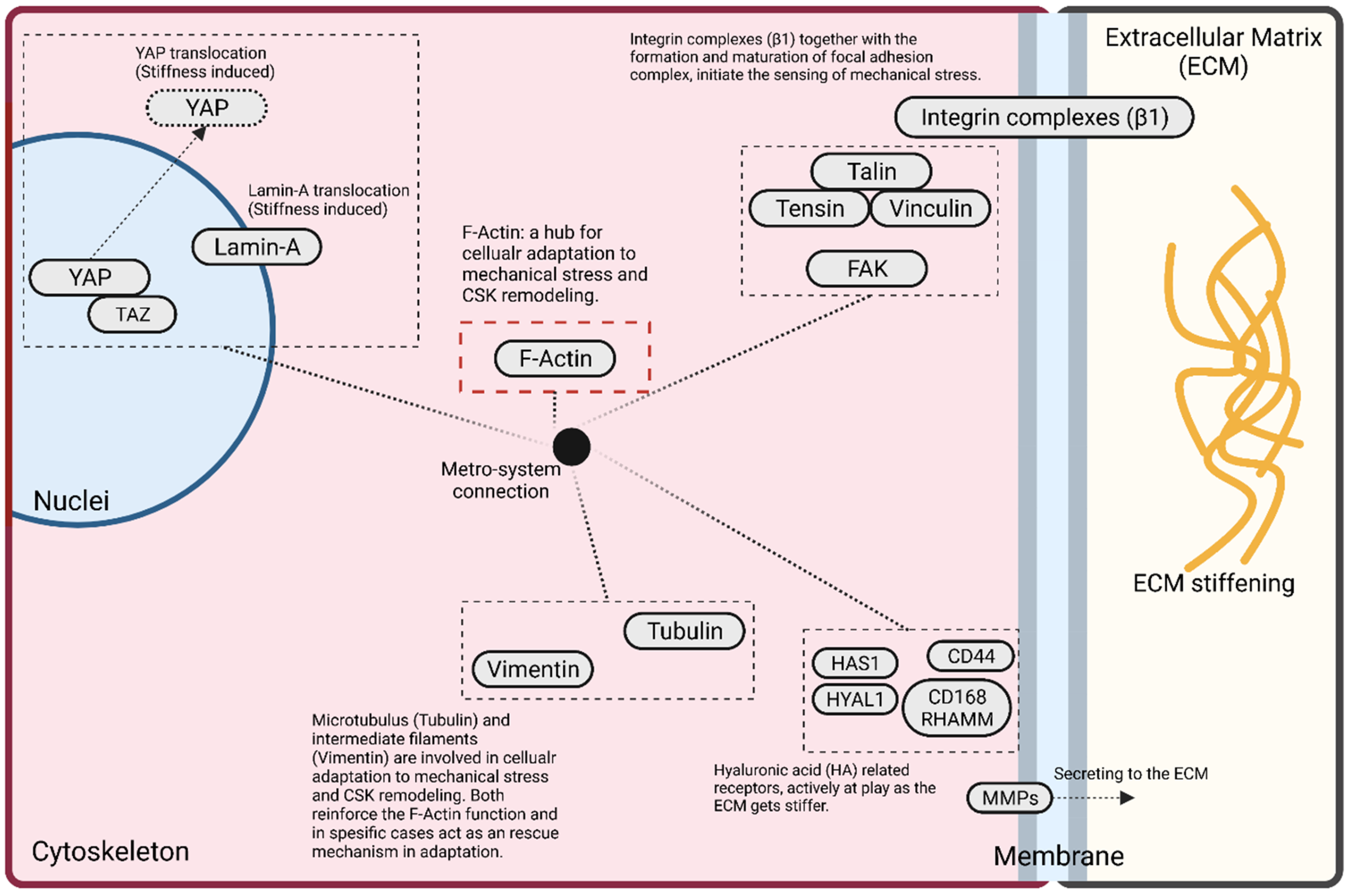 Pharmaceutics 14 01031 g005
