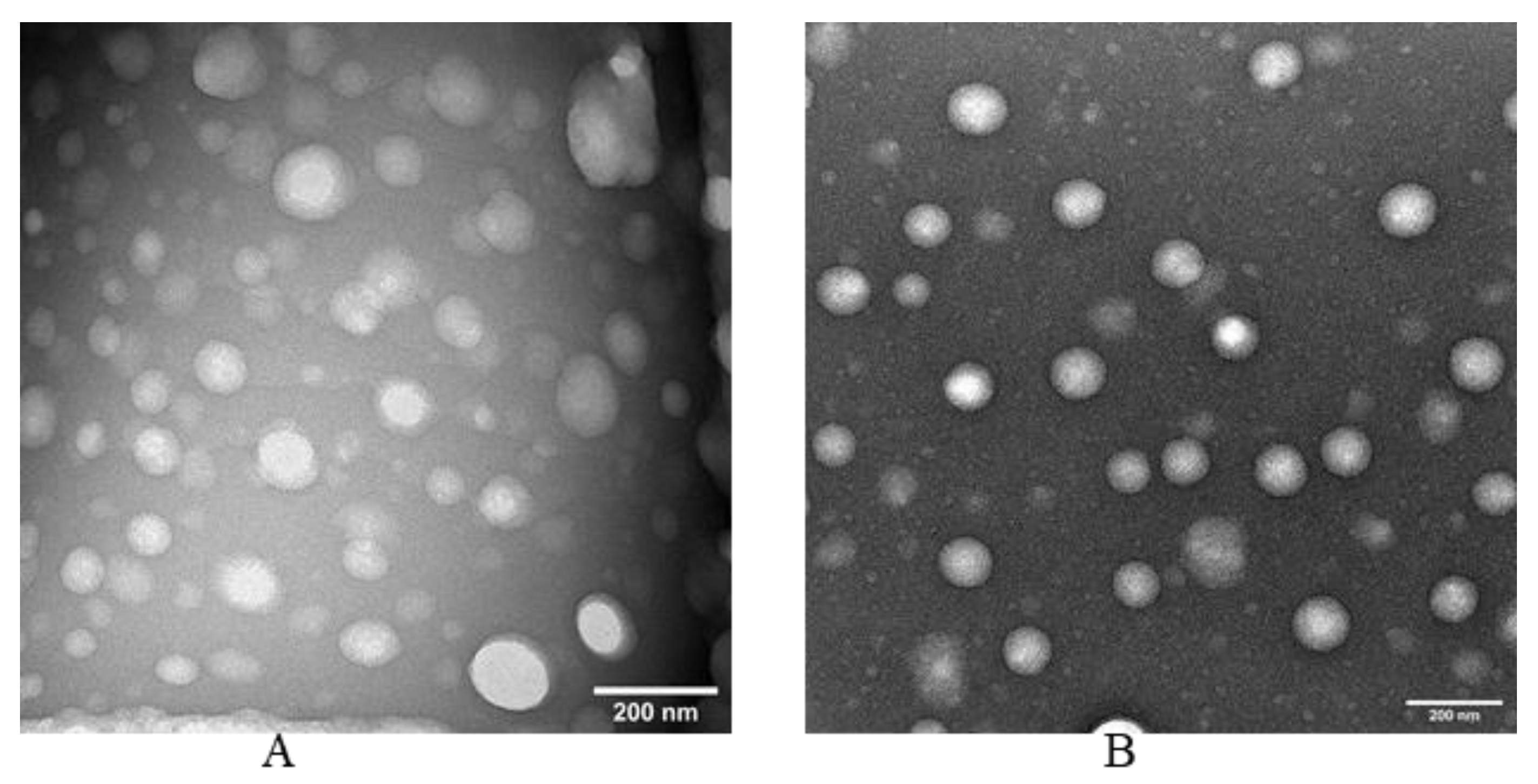 Pharmaceutics 14 01034 g009 Pharmaceutics 14 01034 g009