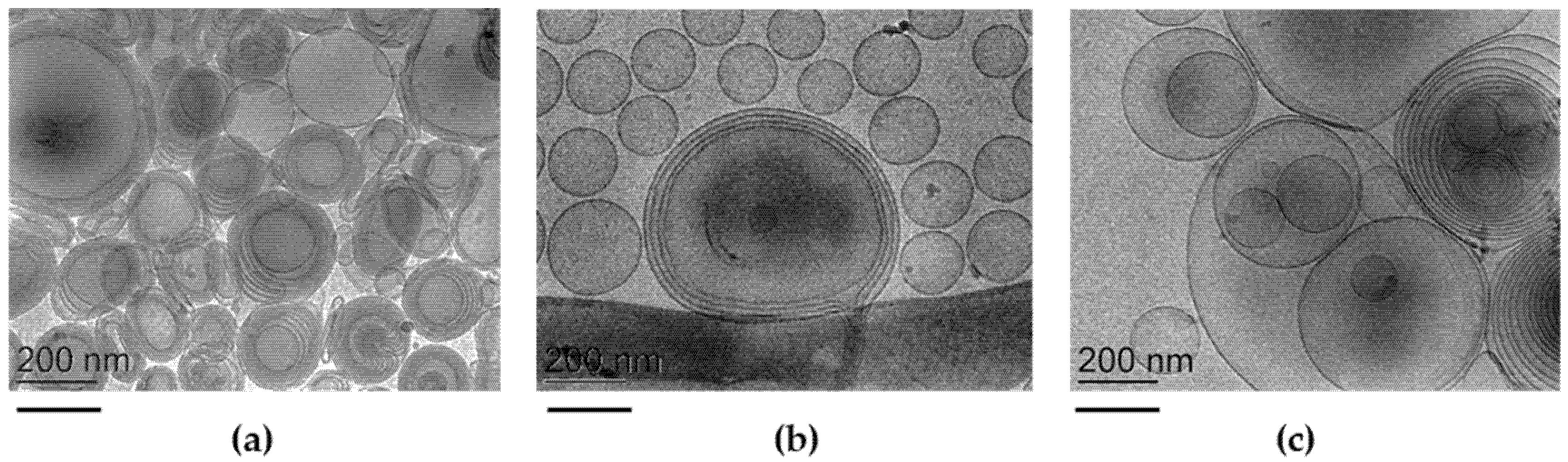 Pharmaceutics 14 01038 g001 550