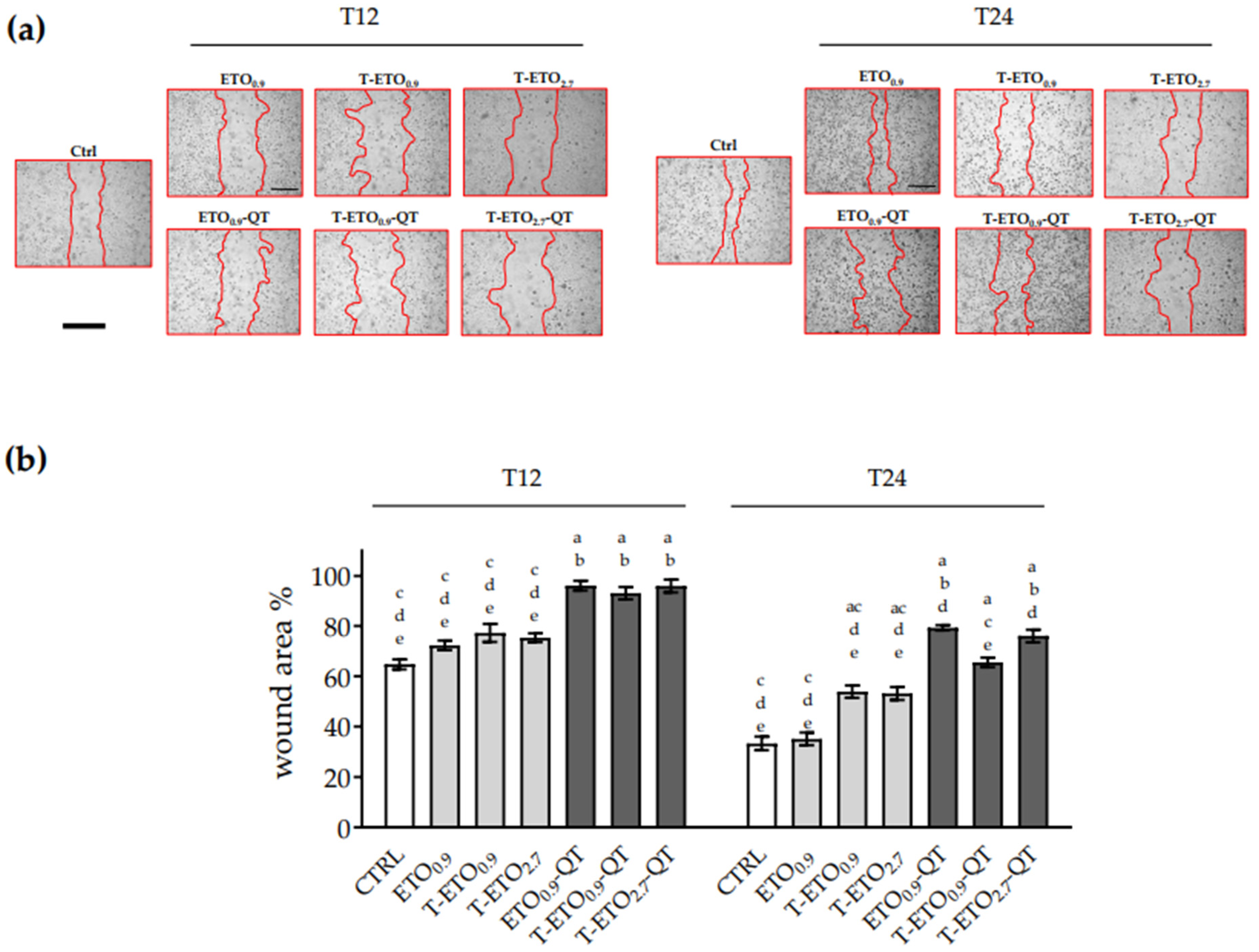 Pharmaceutics 14 01038 g005 550