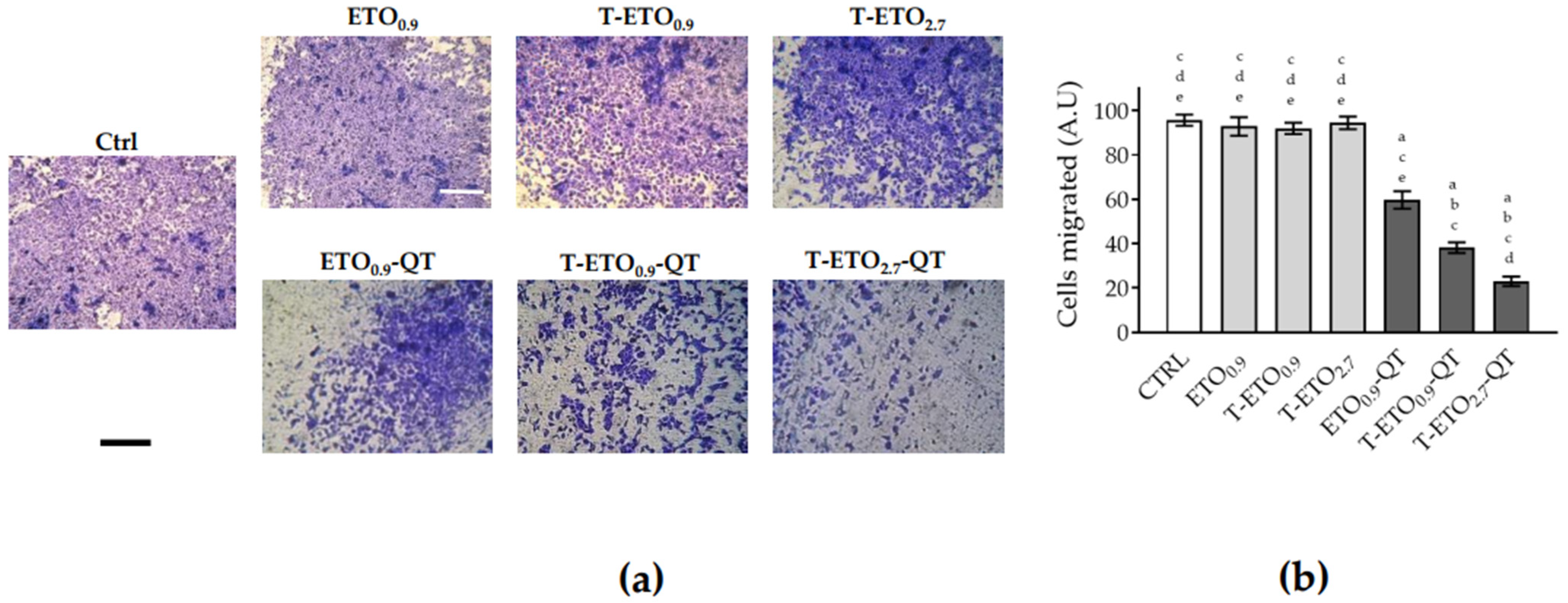 Pharmaceutics 14 01038 g007 550