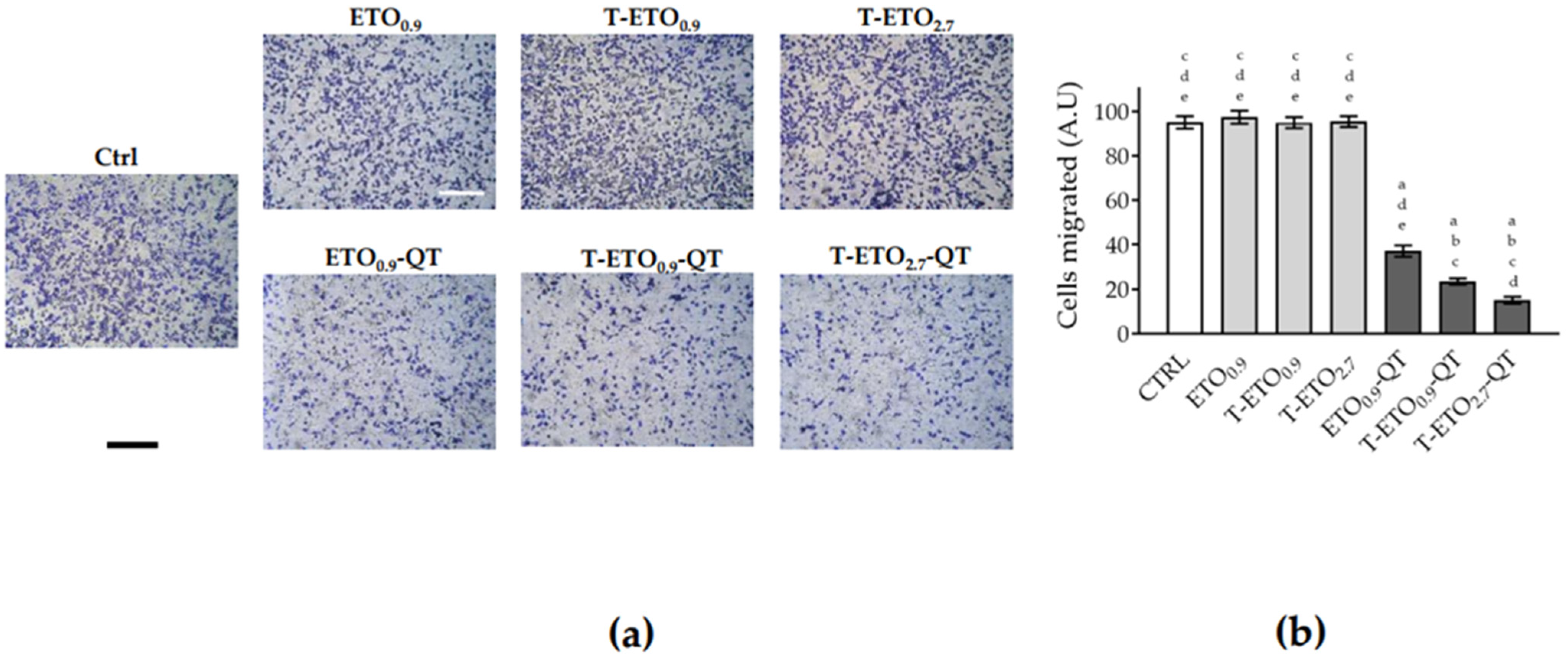 Pharmaceutics 14 01038 g008 550