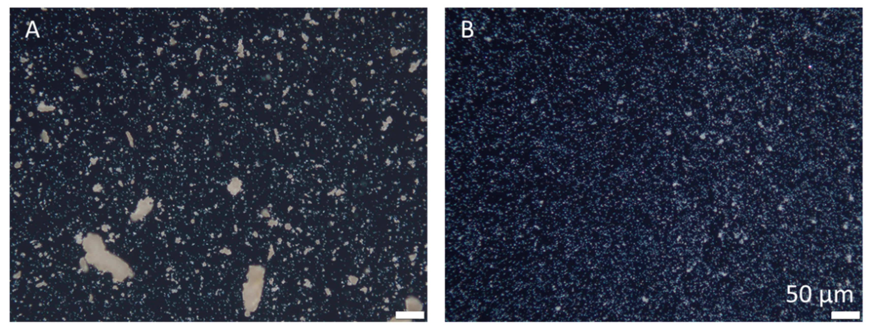 Pharmaceutics 14 01039 g003 550