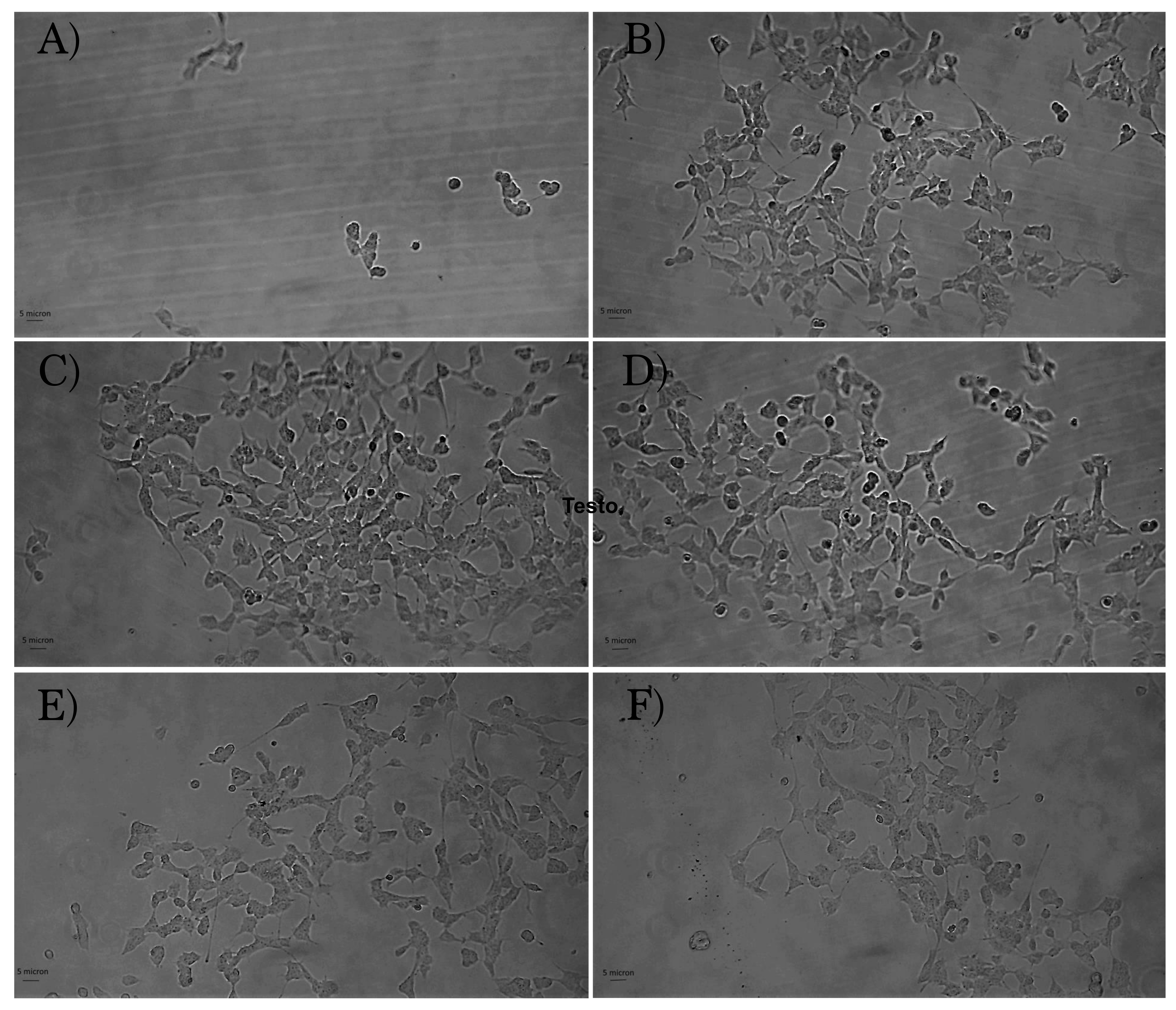 Pharmaceutics 14 01041 g012 550