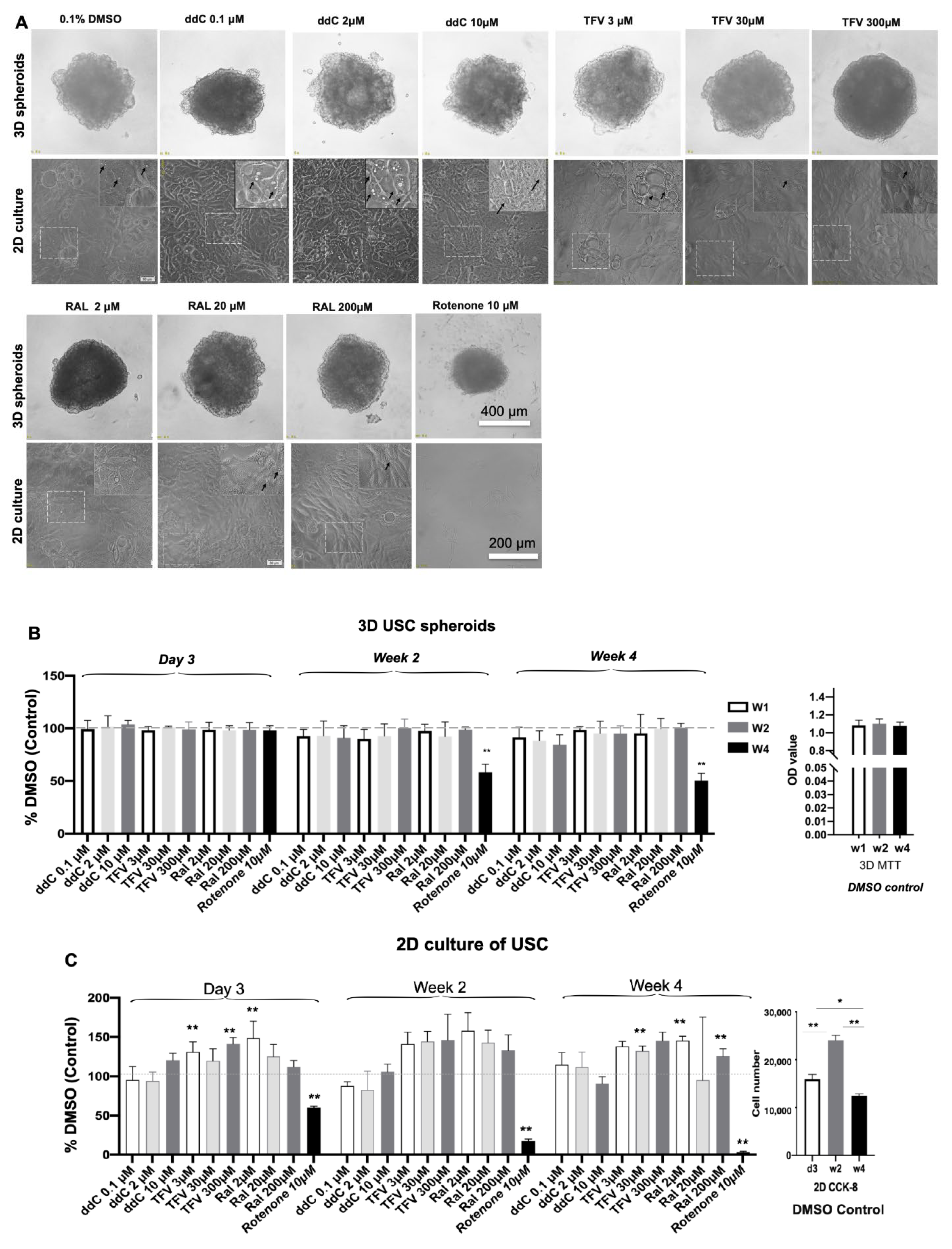Pharmaceutics 14 01042 g002a