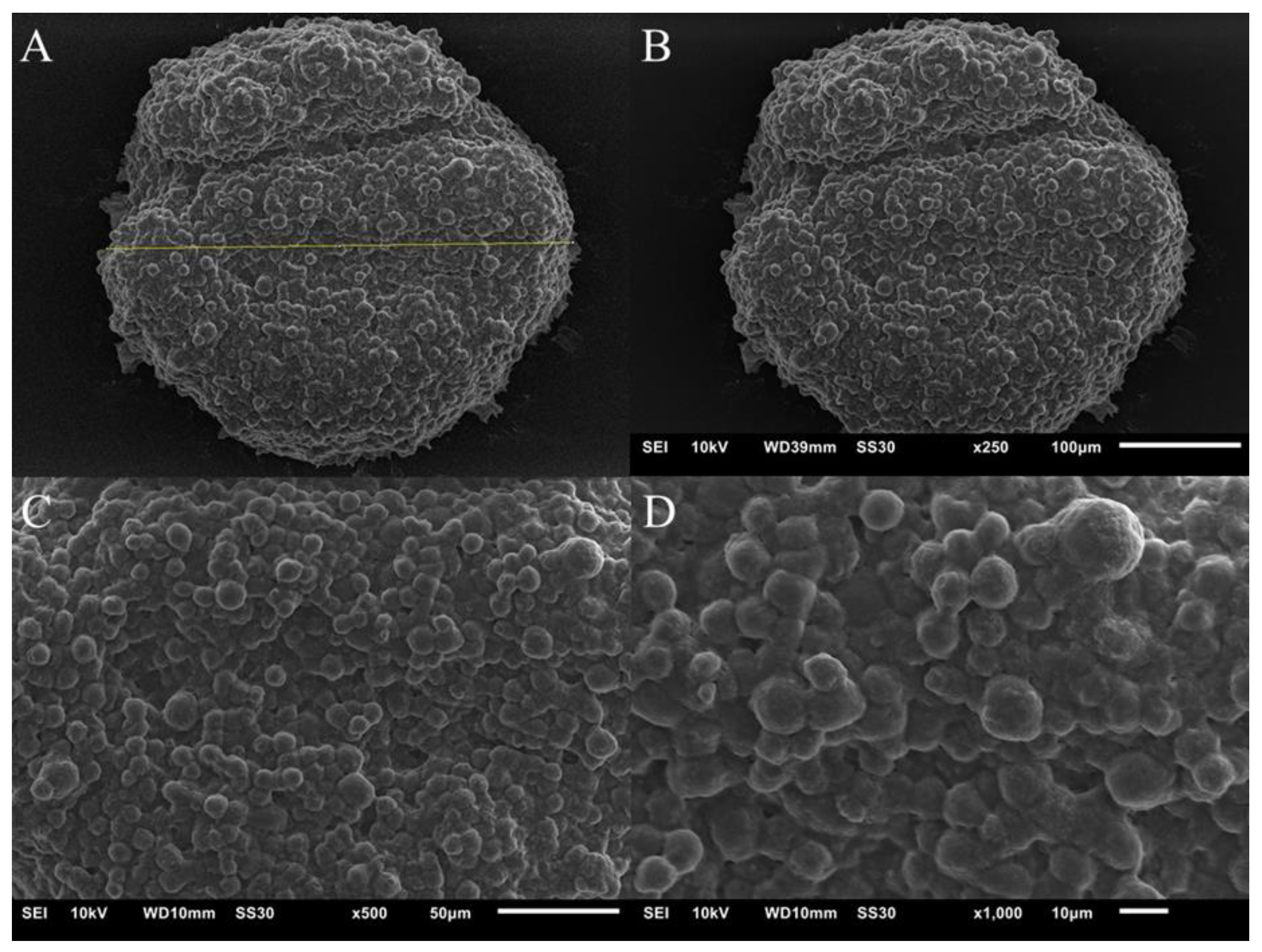 Pharmaceutics 14 01043 g007 Pharmaceutics 14 01043 g007