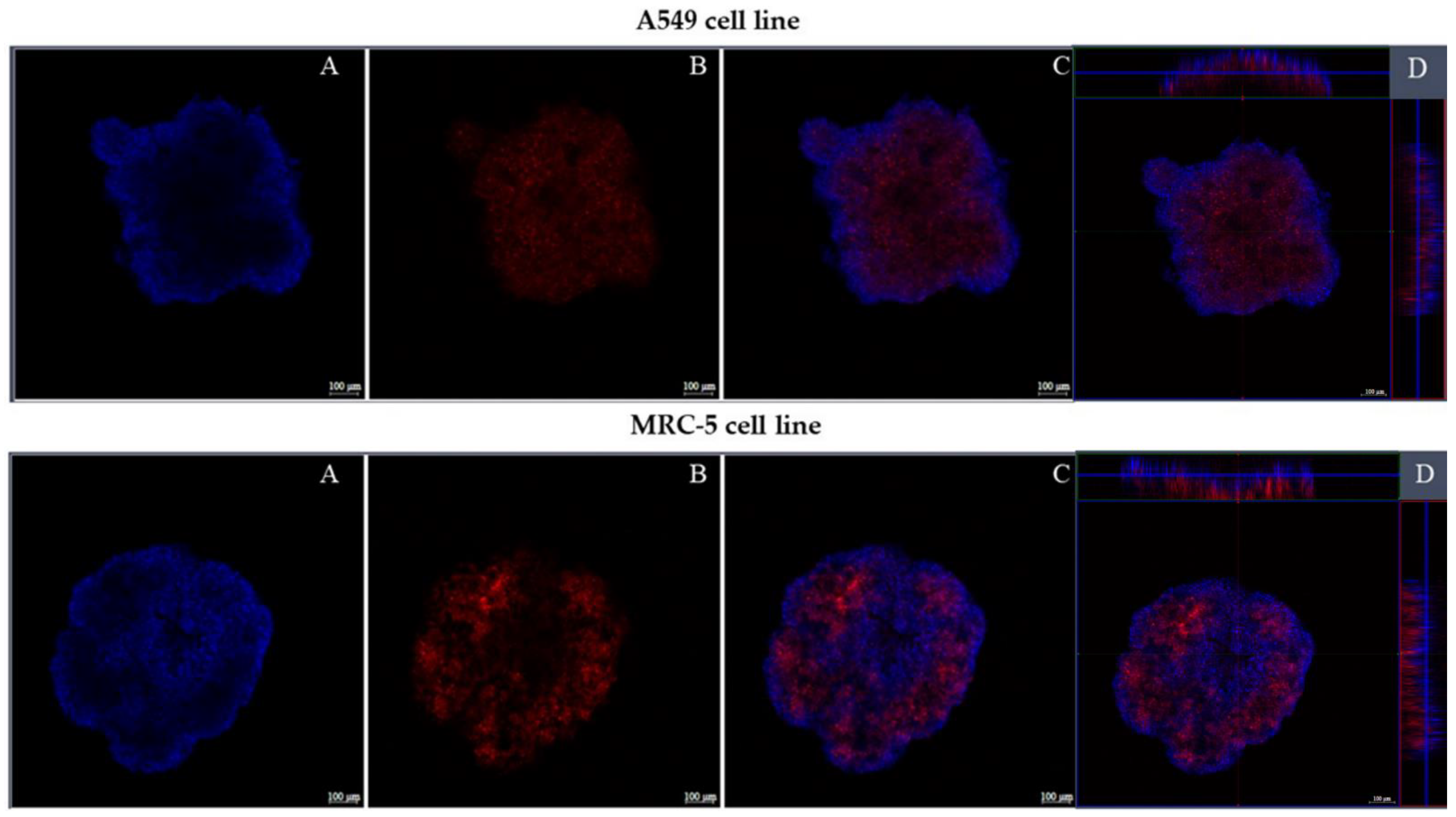 Pharmaceutics 14 01043 g008 Pharmaceutics 14 01043 g008