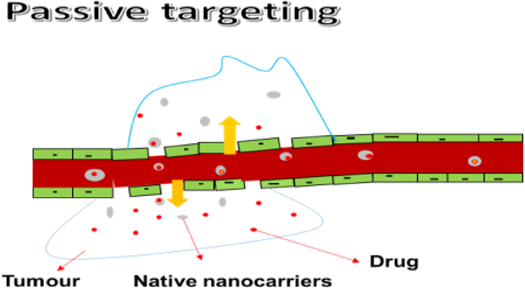 Pharmaceutics 14 01048 g001