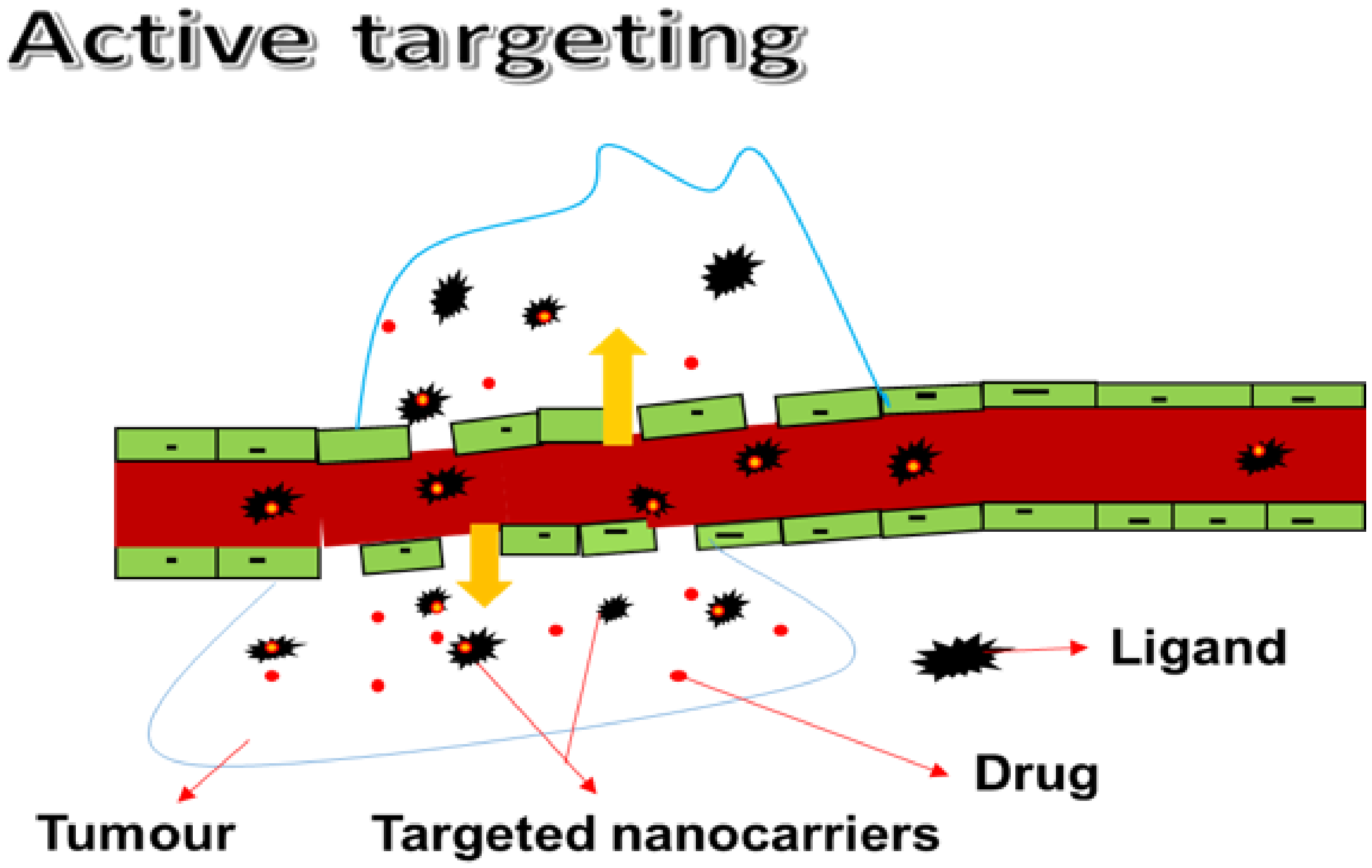 Pharmaceutics 14 01048 g002