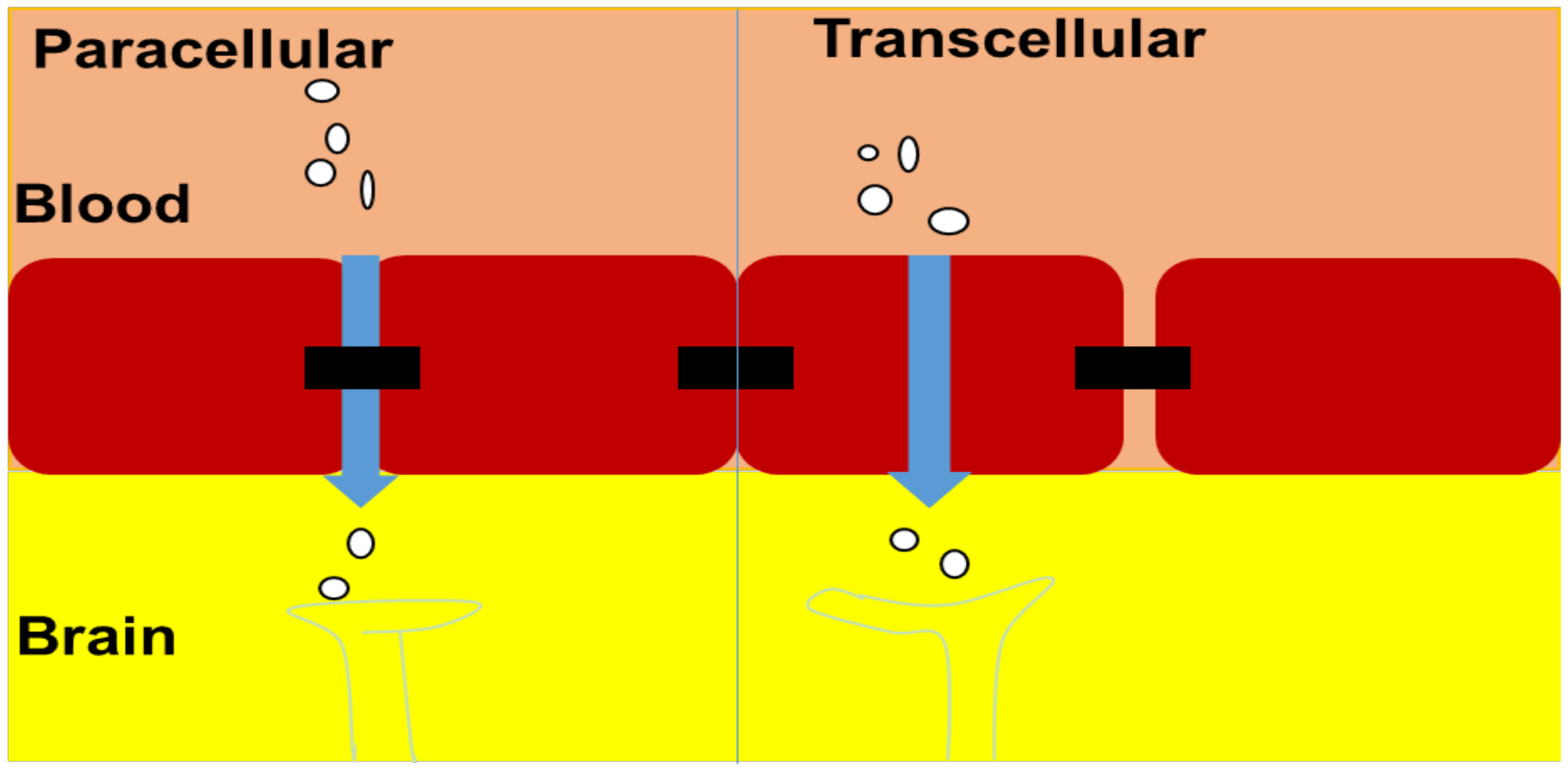 Pharmaceutics 14 01048 g003