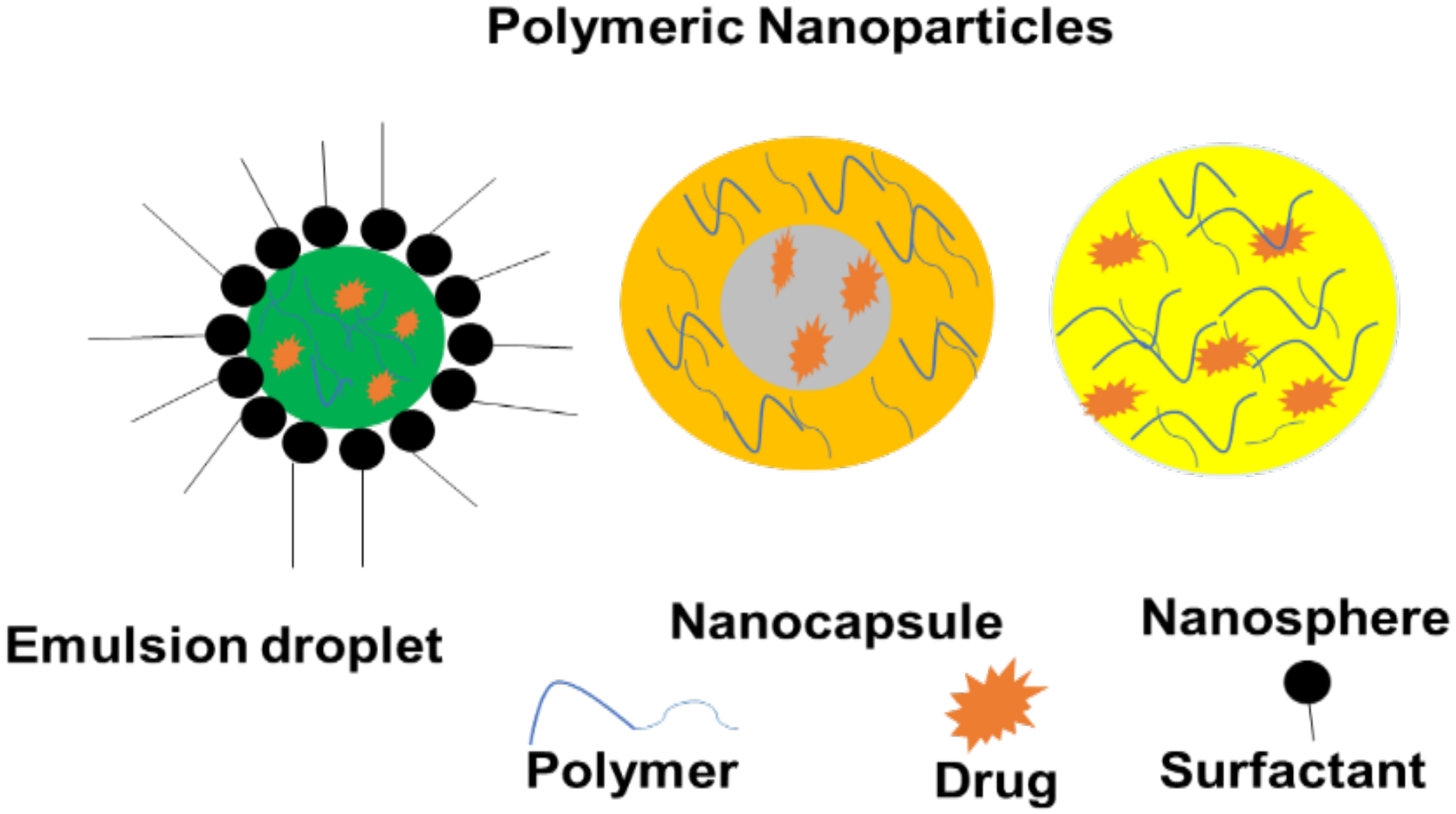 Pharmaceutics 14 01048 g004