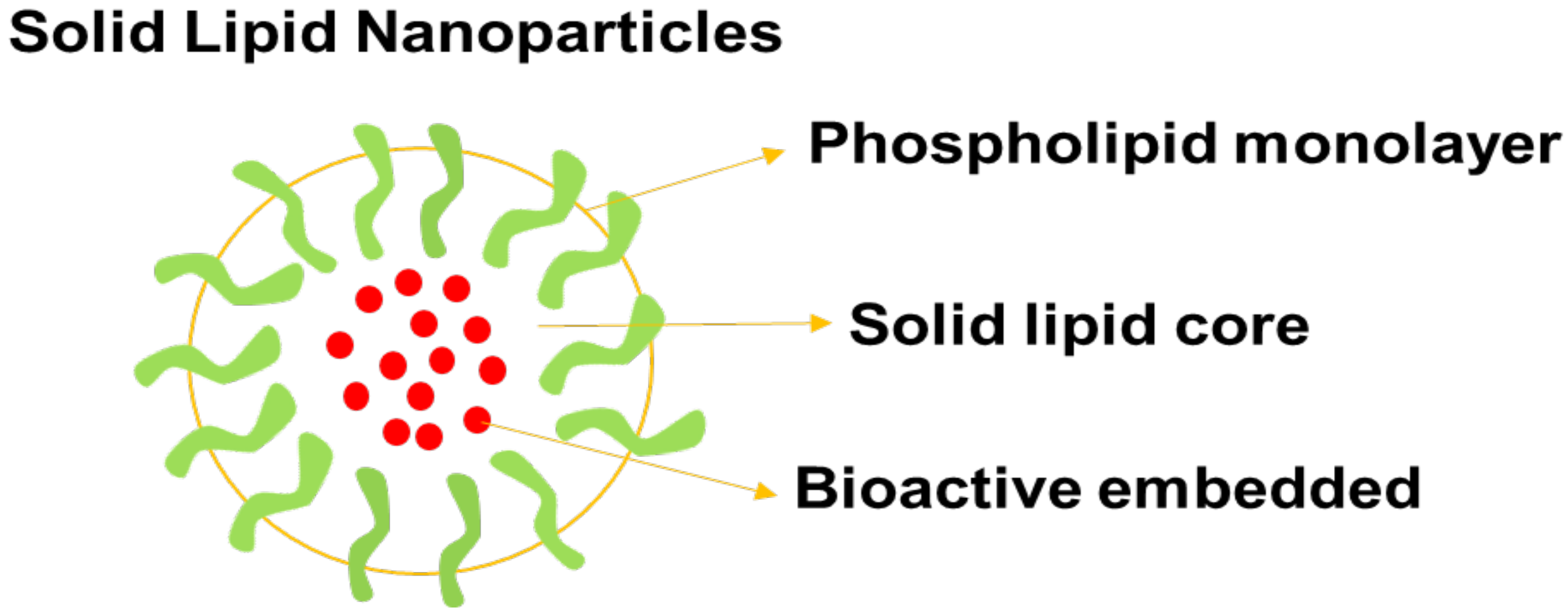 Pharmaceutics 14 01048 g006