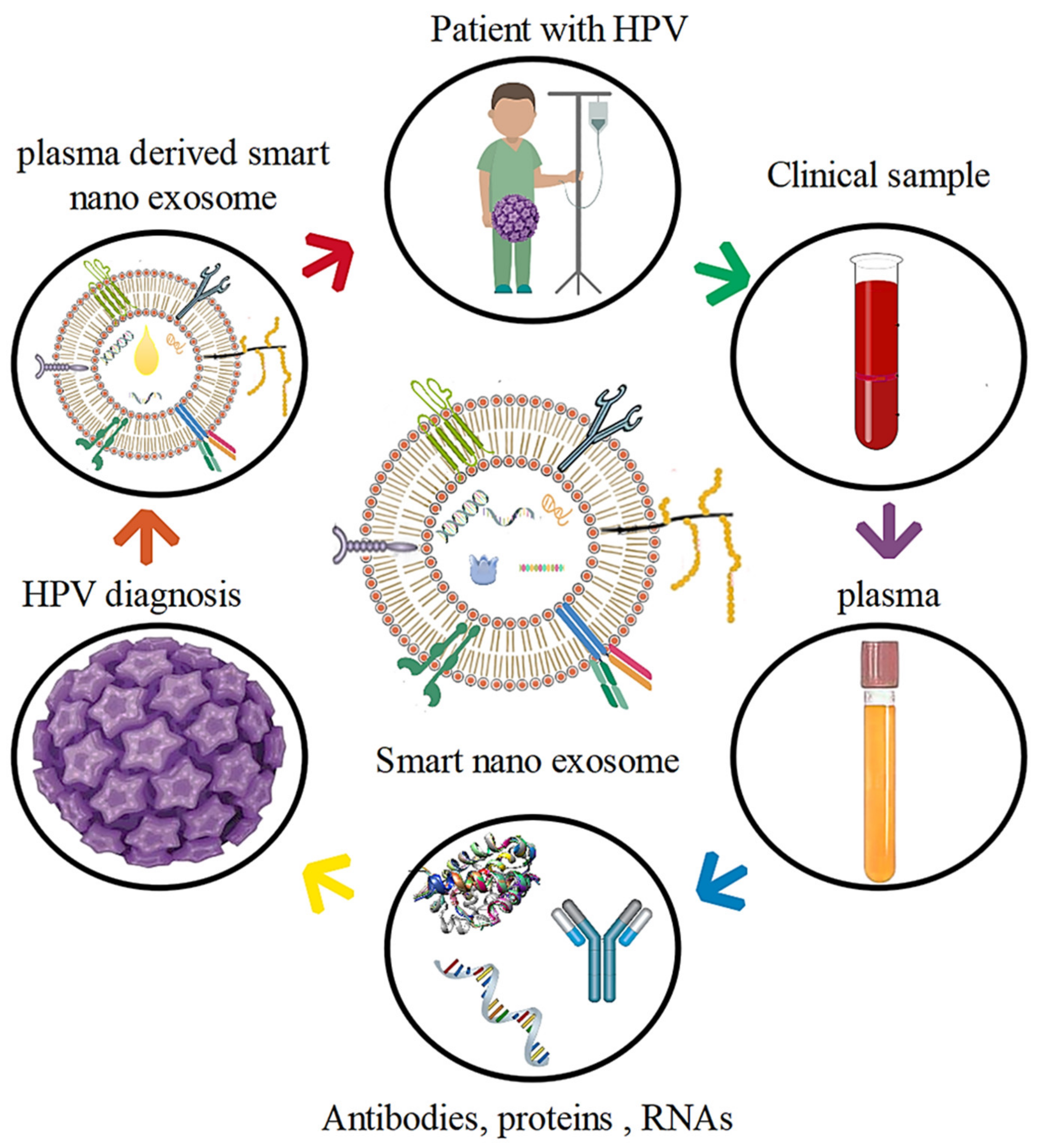 Pharmaceutics 14 01054 g005