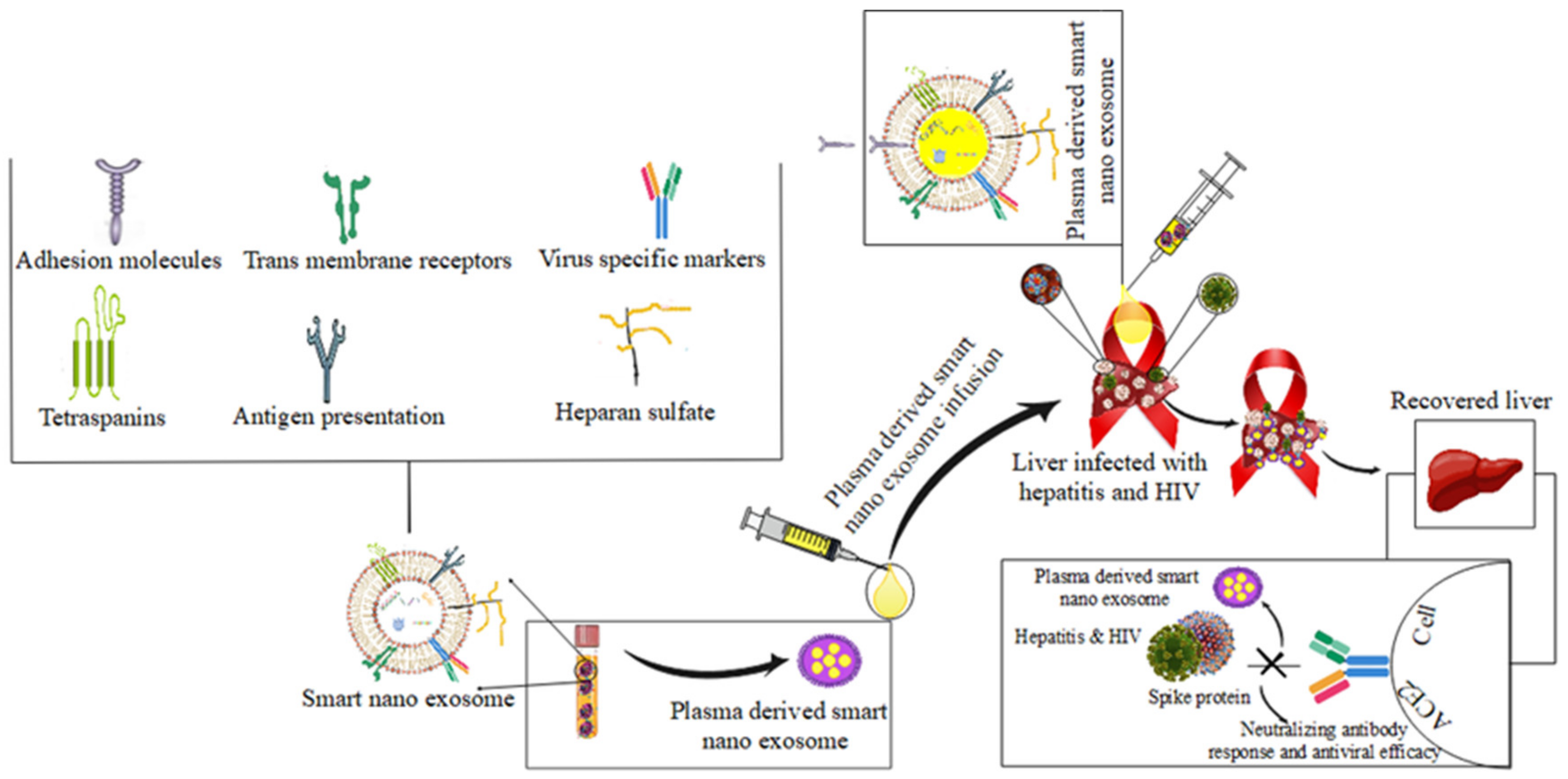 Pharmaceutics 14 01054 g006