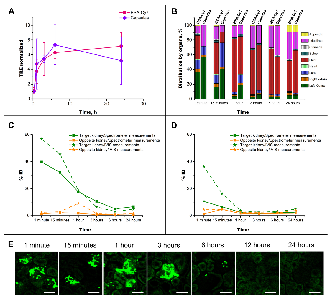 Pharmaceutics 14 01056 g005