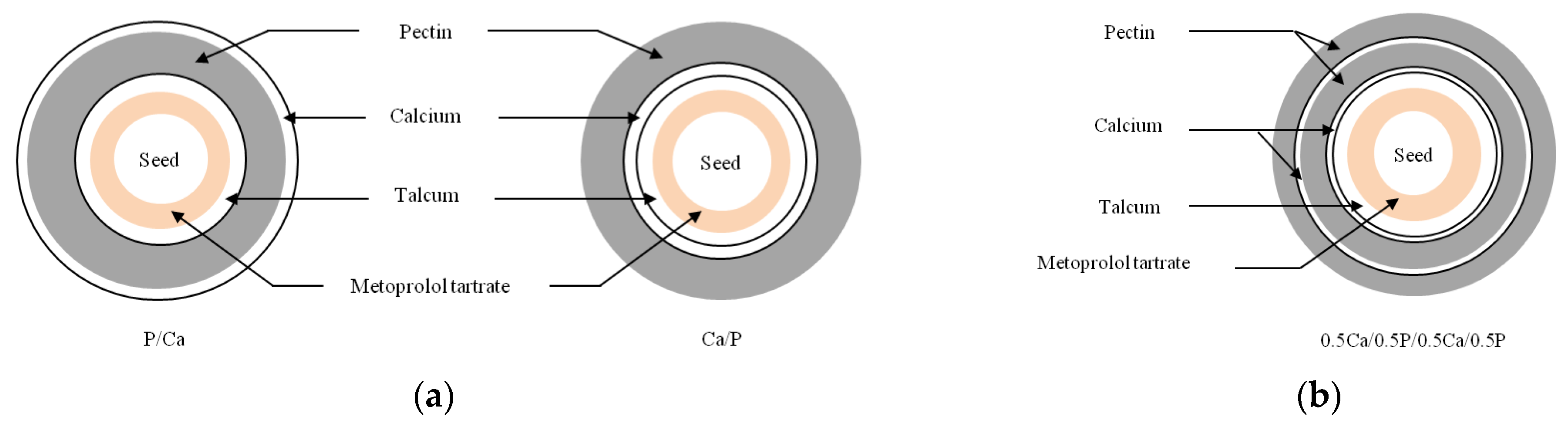 Pharmaceutics Free FullText Influence of In Situ Calcium Pectinate