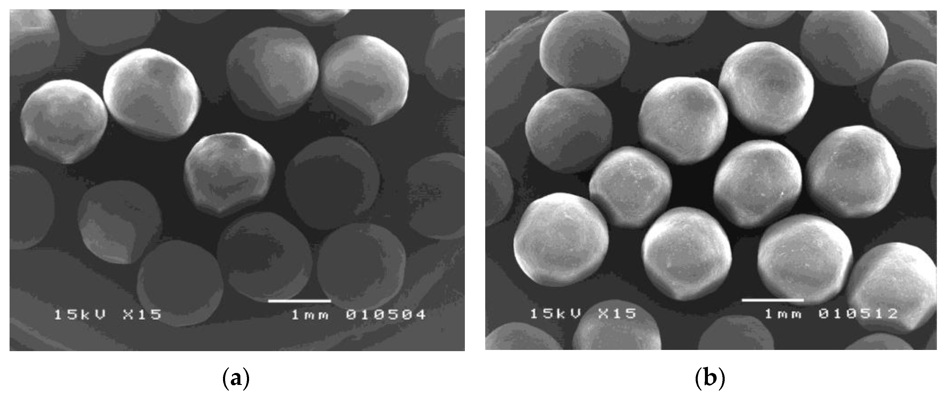 Pharmaceutics 14 01061 g004