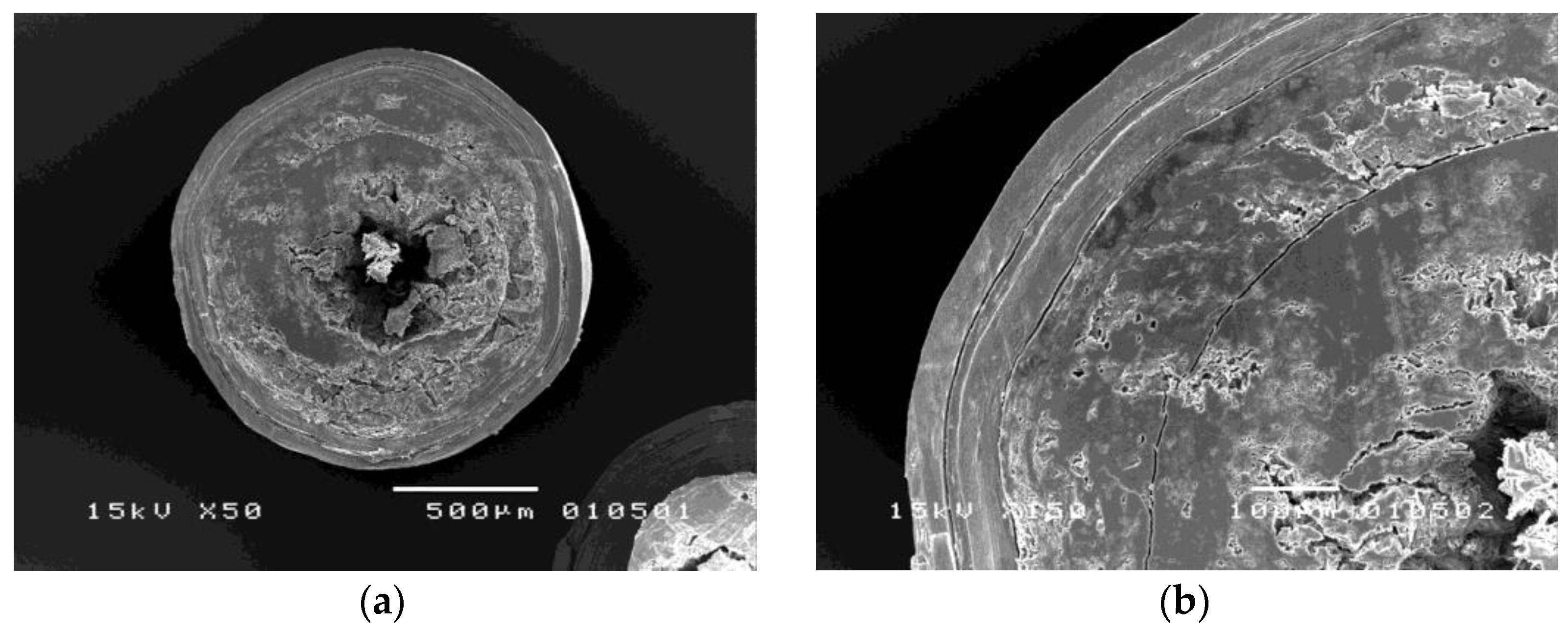 Pharmaceutics 14 01061 g005