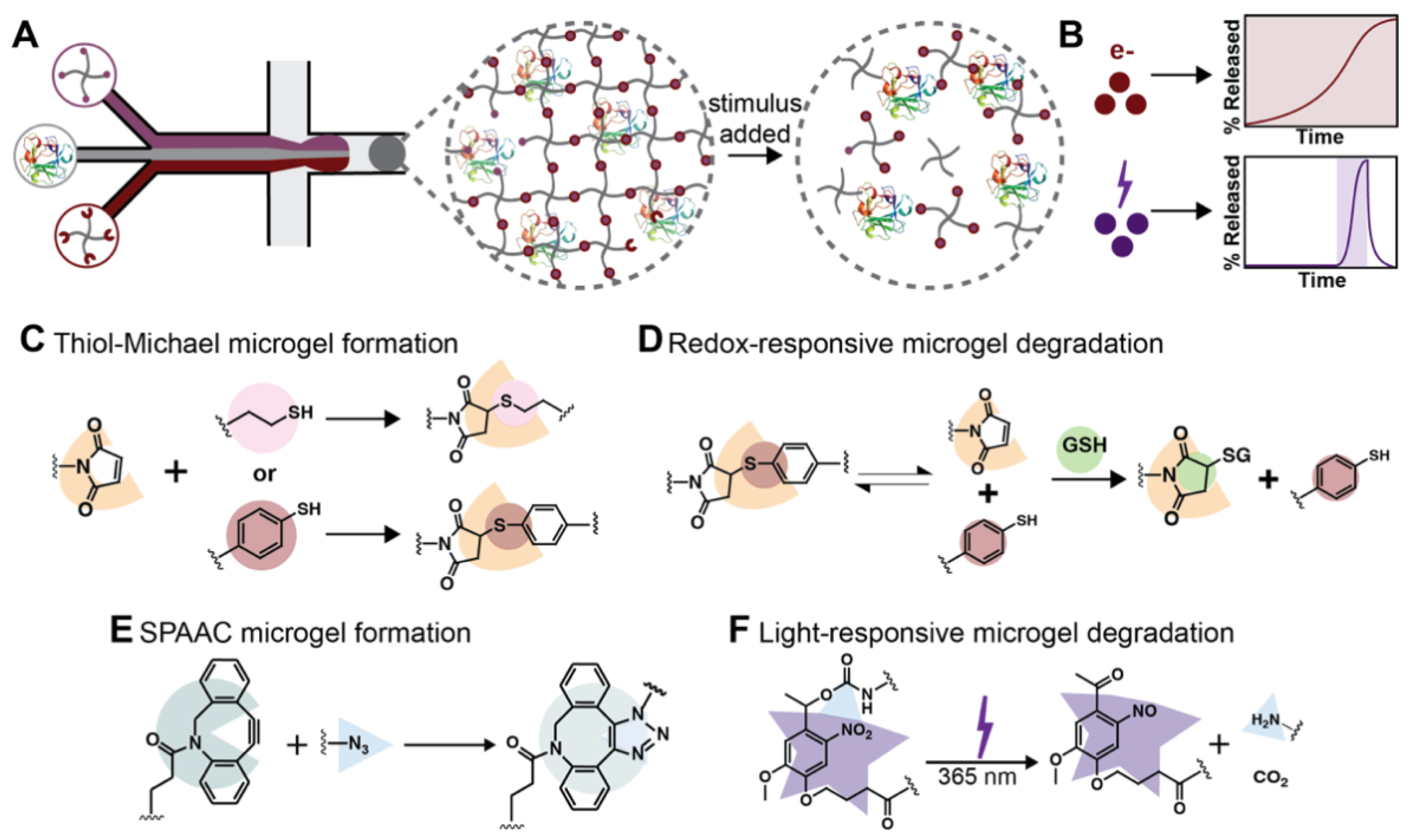 Pharmaceutics 14 01062 g001