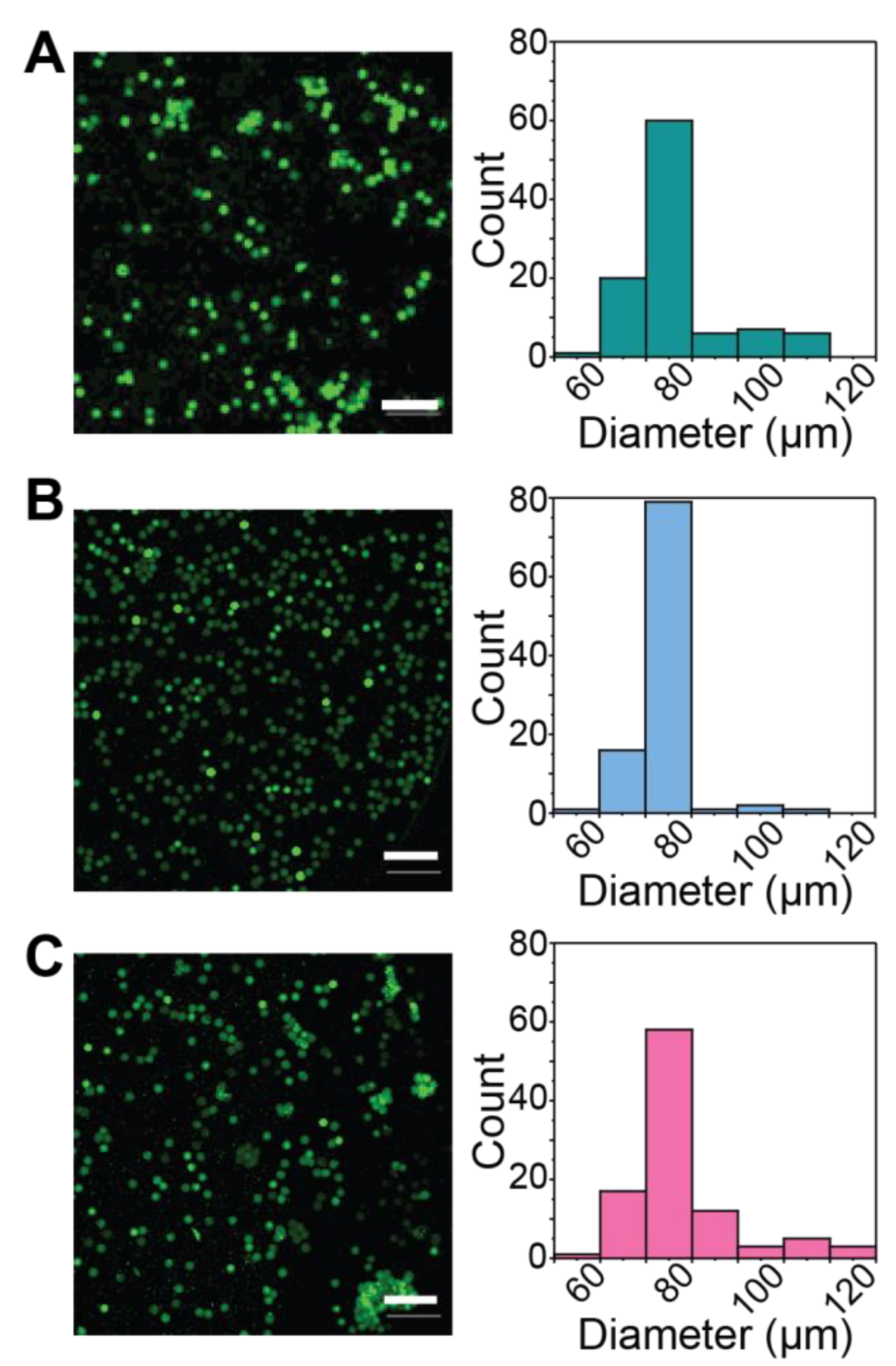 Pharmaceutics 14 01062 g003