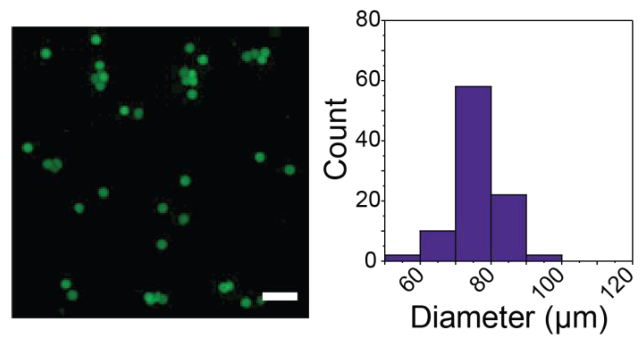 Pharmaceutics 14 01062 g006