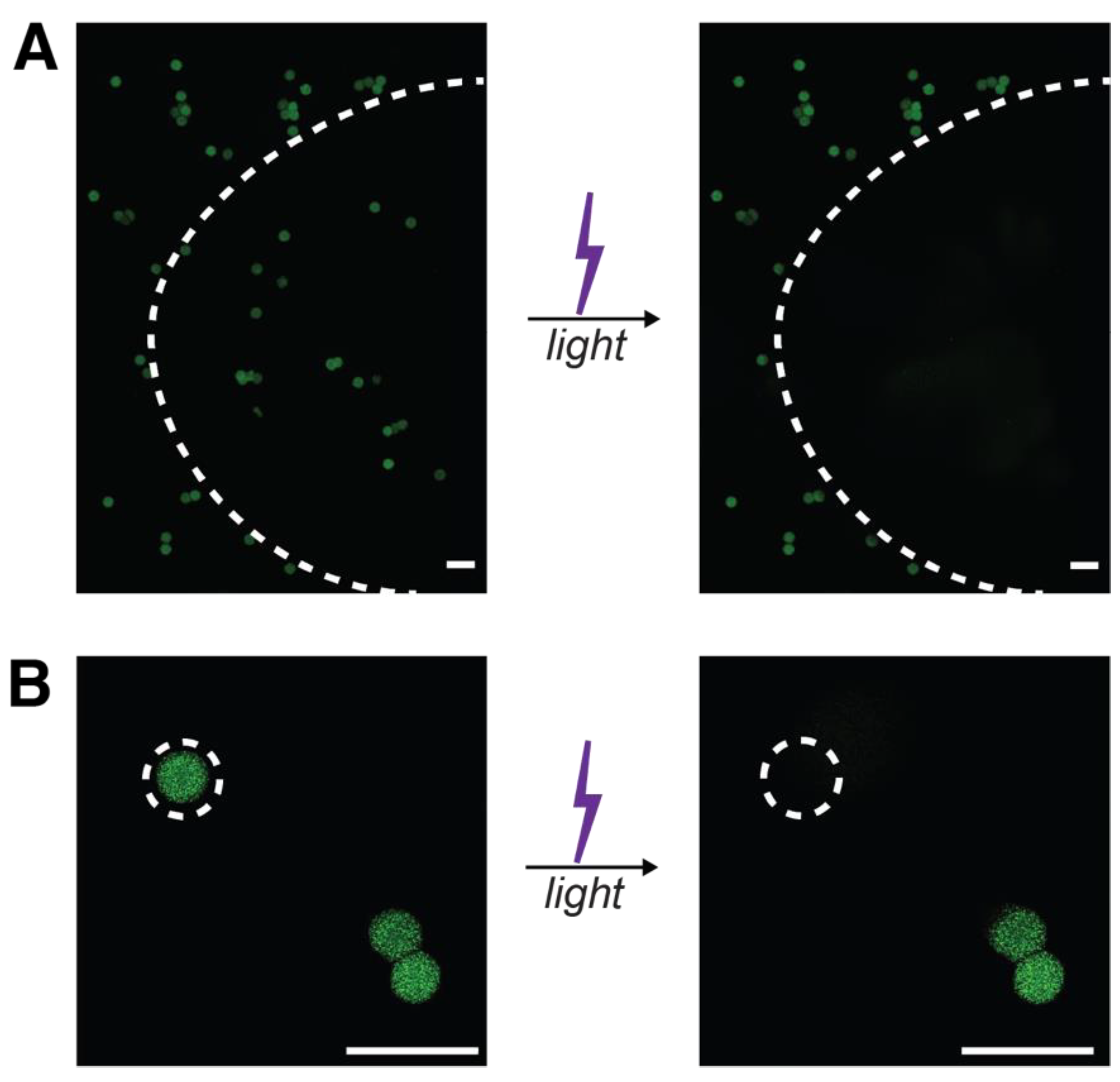 Pharmaceutics 14 01062 g007