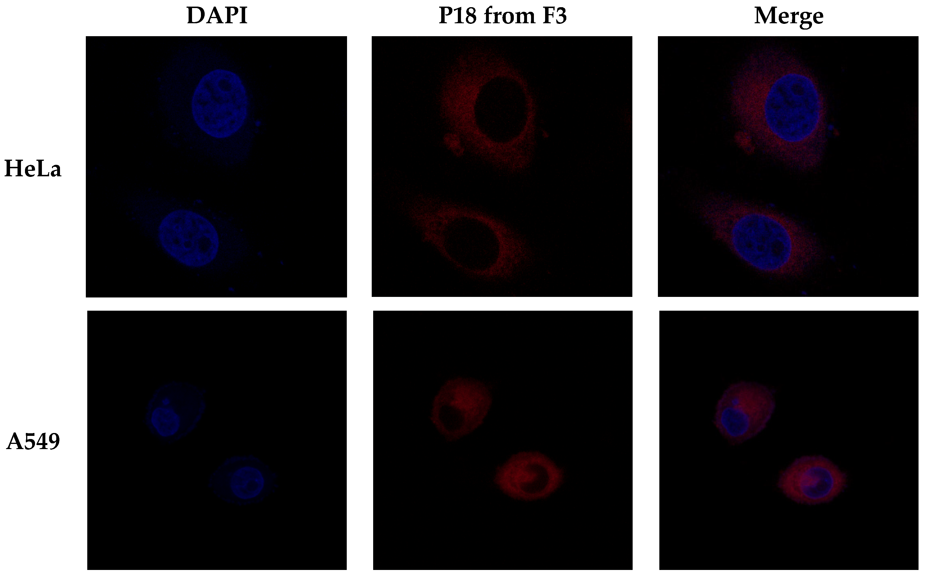 Pharmaceutics 14 01064 g010 Pharmaceutics 14 01064 g010