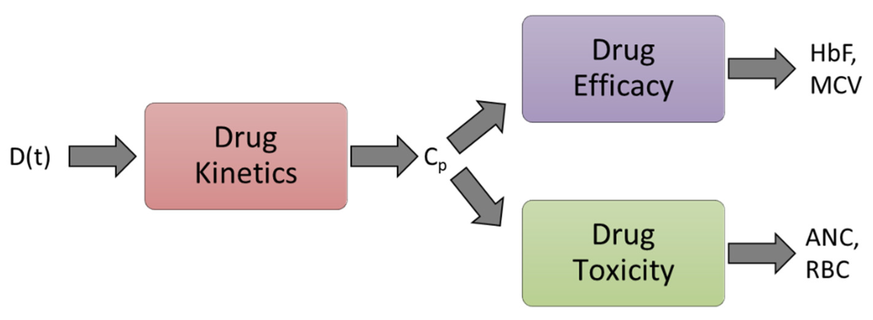 Pharmaceutics 14 01065 g003 Pharmaceutics 14 01065 g003
