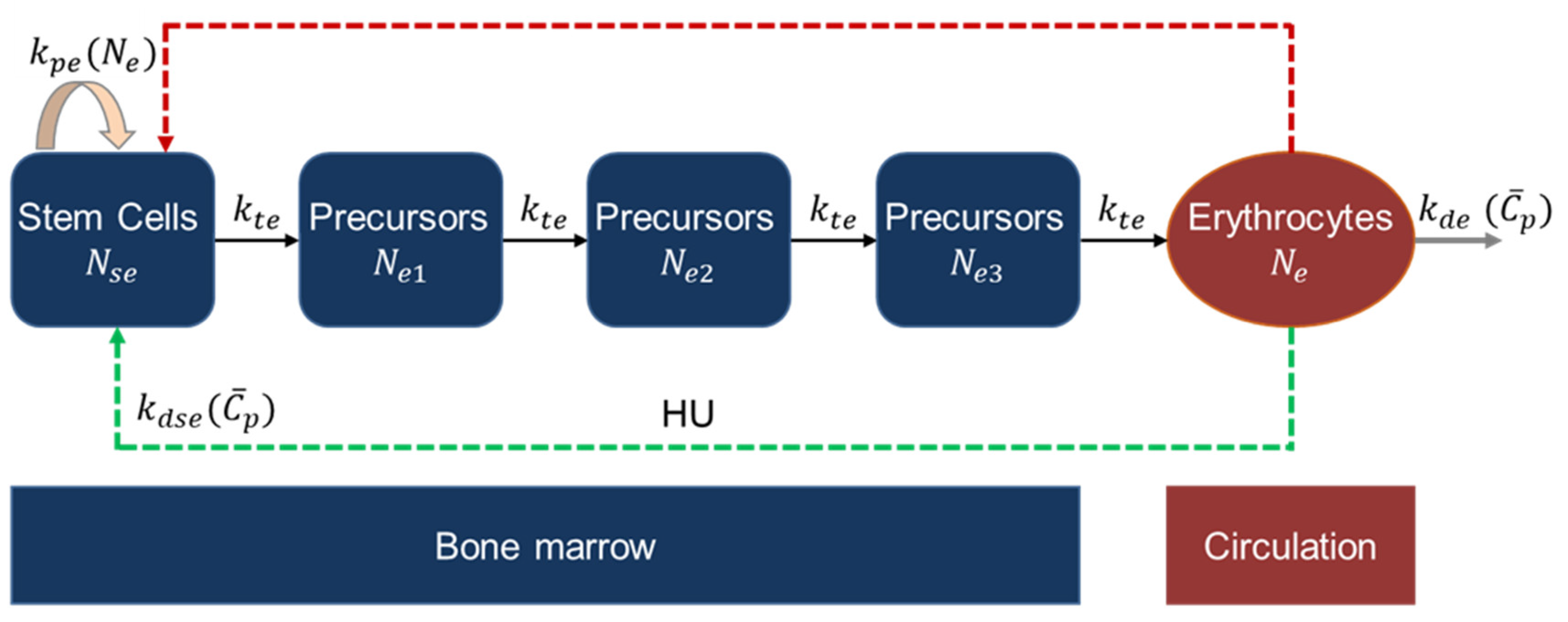 Pharmaceutics 14 01065 g005 Pharmaceutics 14 01065 g005
