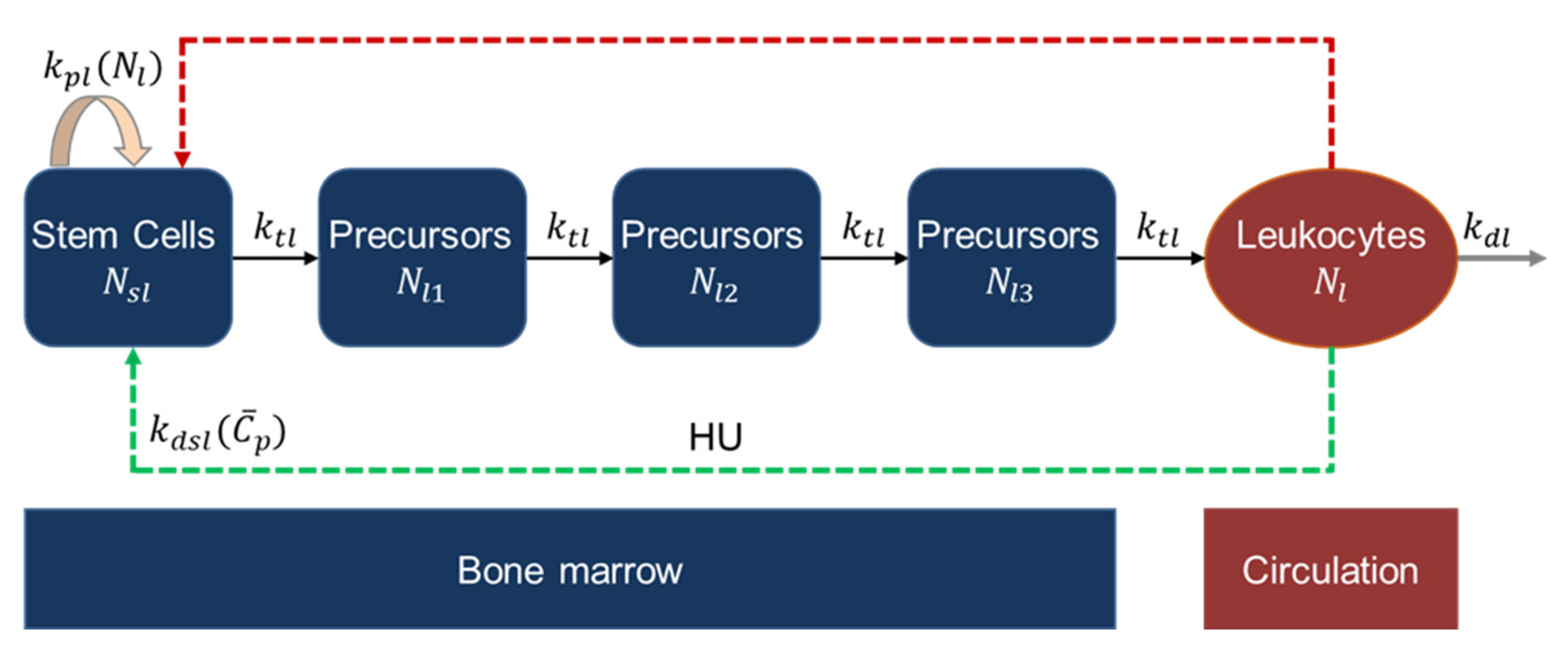 Pharmaceutics 14 01065 g006 Pharmaceutics 14 01065 g006