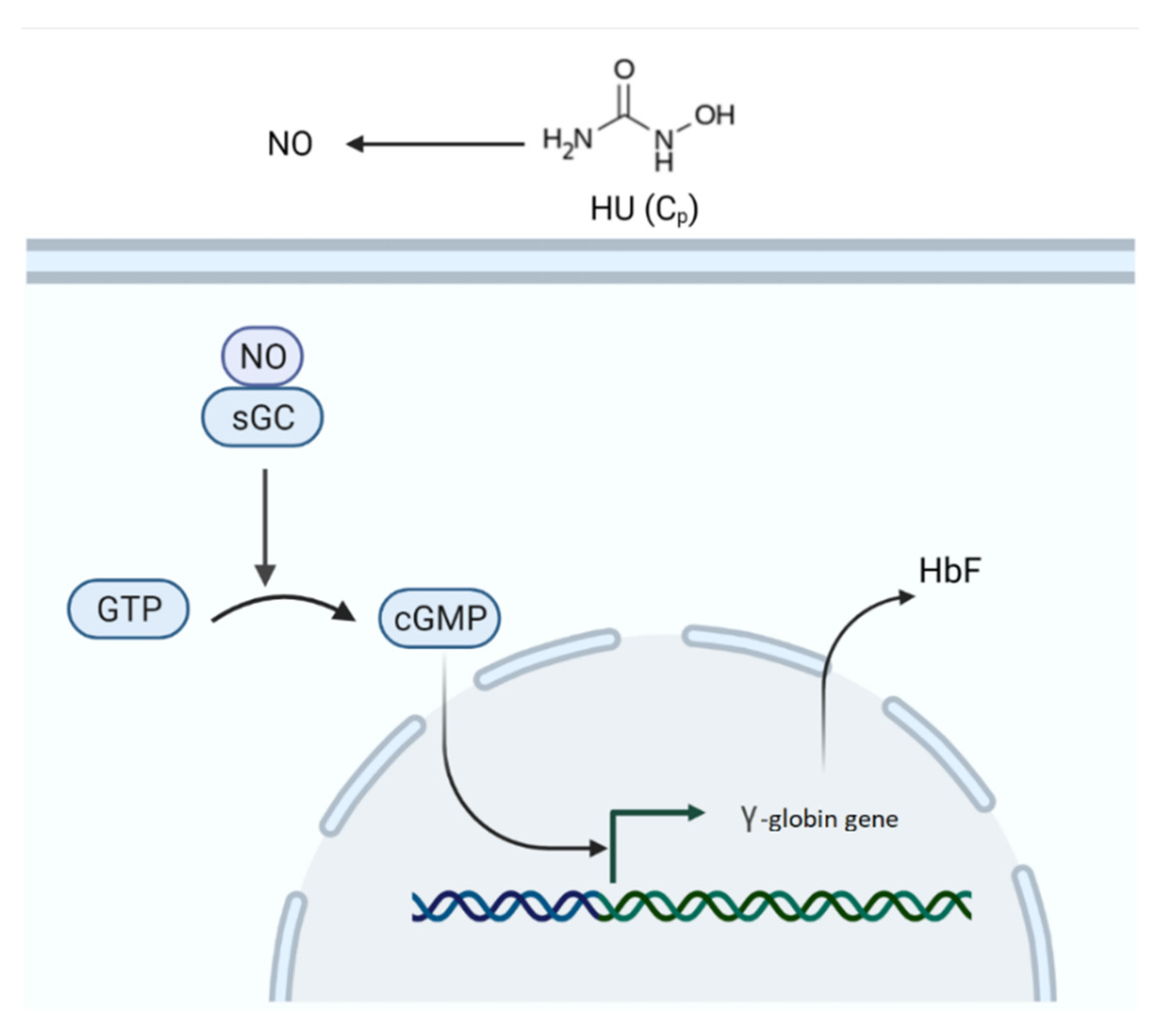 Pharmaceutics 14 01065 g007 Pharmaceutics 14 01065 g007