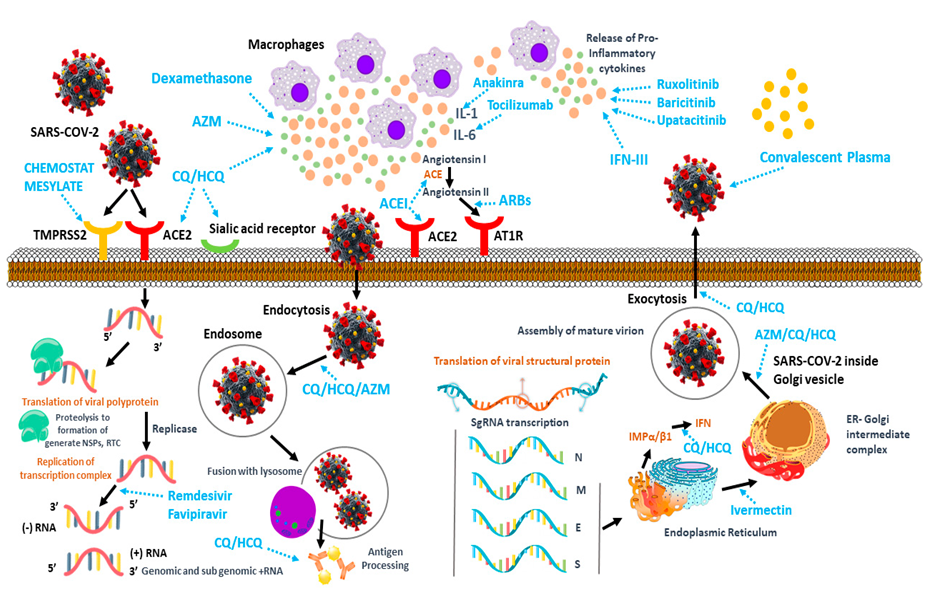 Pharmaceutics 14 01066 g001 Pharmaceutics 14 01066 g001
