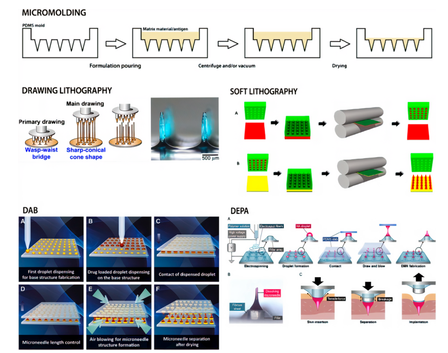 Pharmaceutics 14 01066 g005 Pharmaceutics 14 01066 g005