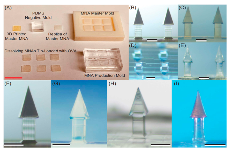 Pharmaceutics 14 01066 g006 Pharmaceutics 14 01066 g006