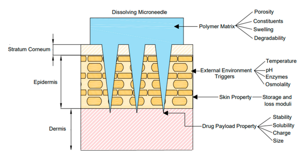 Pharmaceutics 14 01066 g007 Pharmaceutics 14 01066 g007