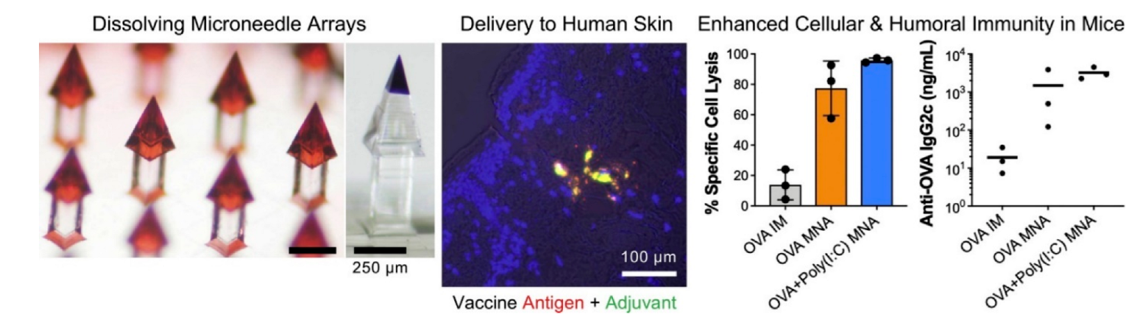 Pharmaceutics 14 01066 g008 Pharmaceutics 14 01066 g008