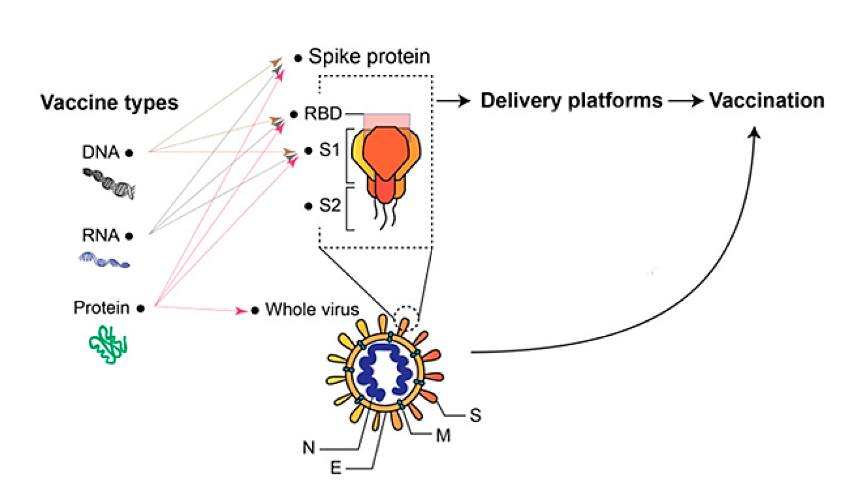 Pharmaceutics 14 01066 g015 Pharmaceutics 14 01066 g015