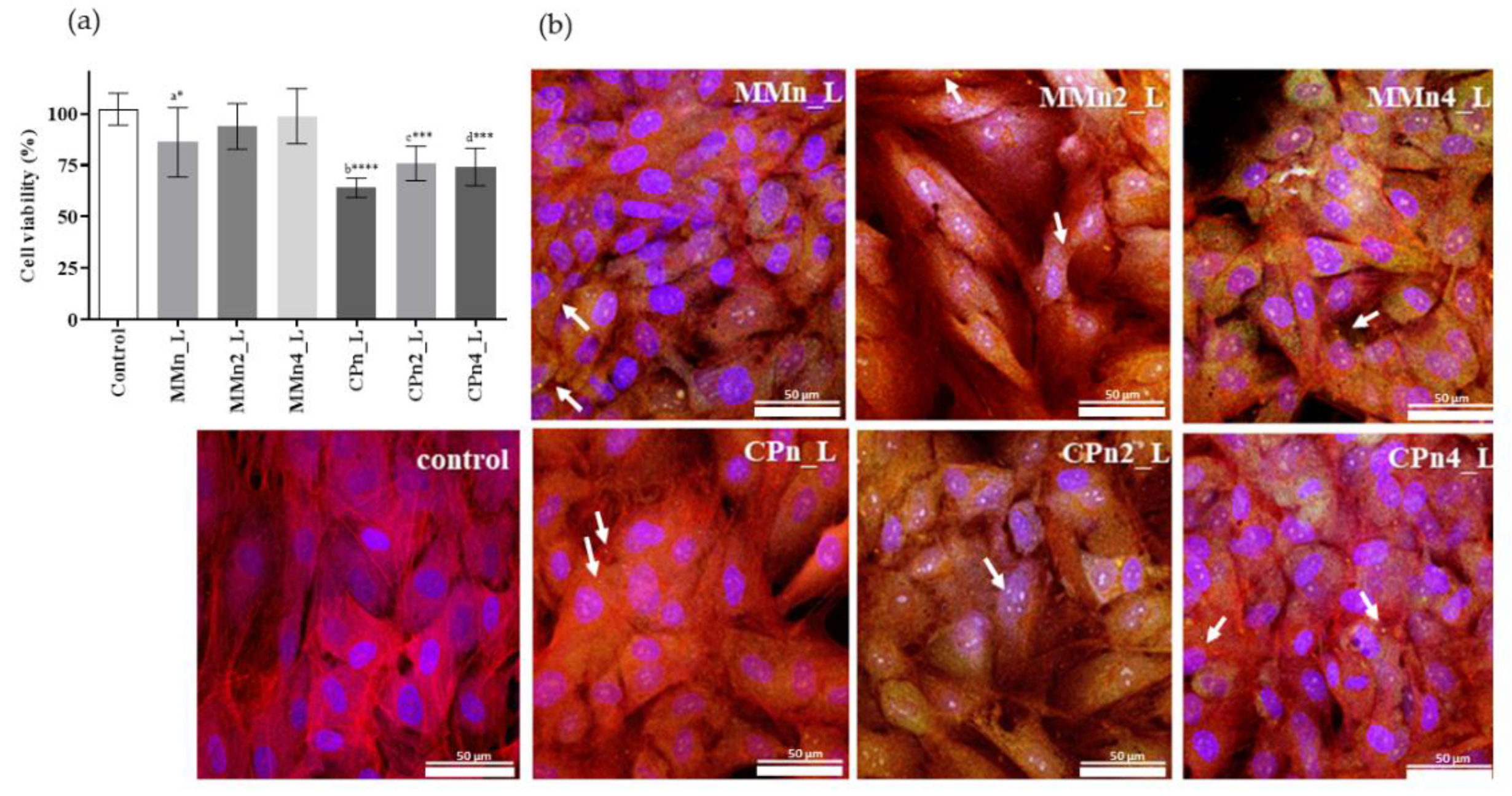 Pharmaceutics 14 01067 g007