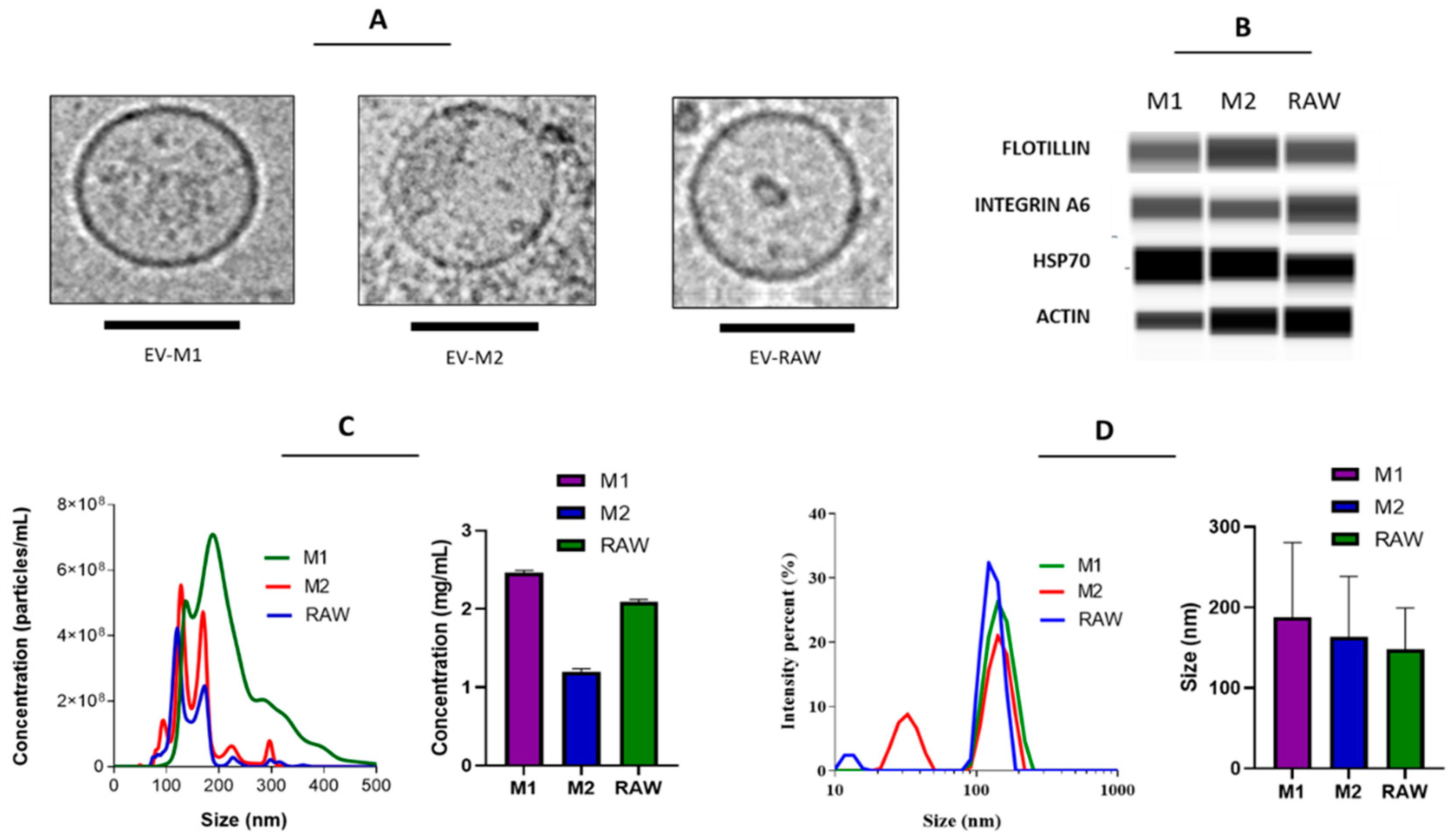 Pharmaceutics 14 01068 g001 Pharmaceutics 14 01068 g001