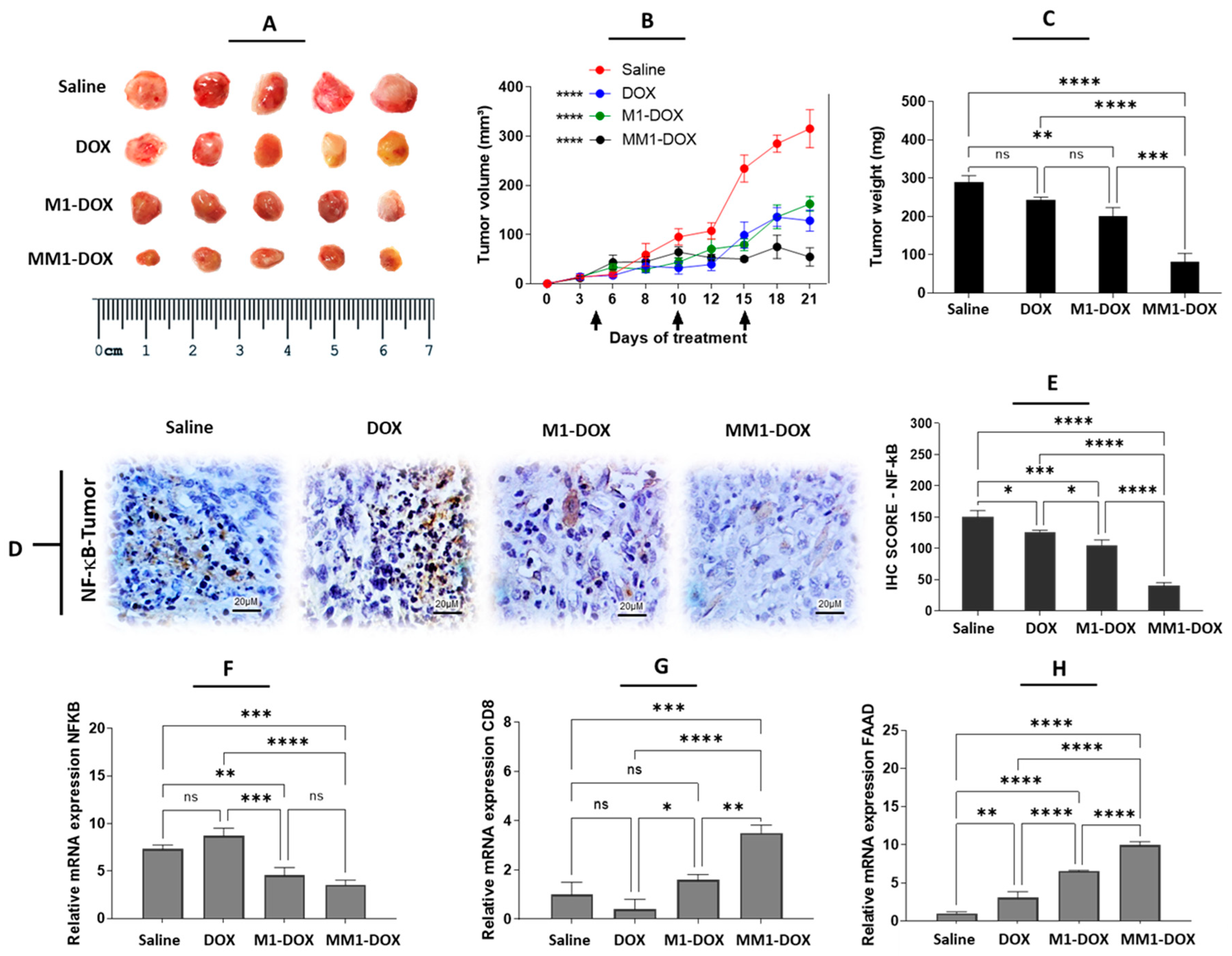 Pharmaceutics 14 01068 g004 Pharmaceutics 14 01068 g004