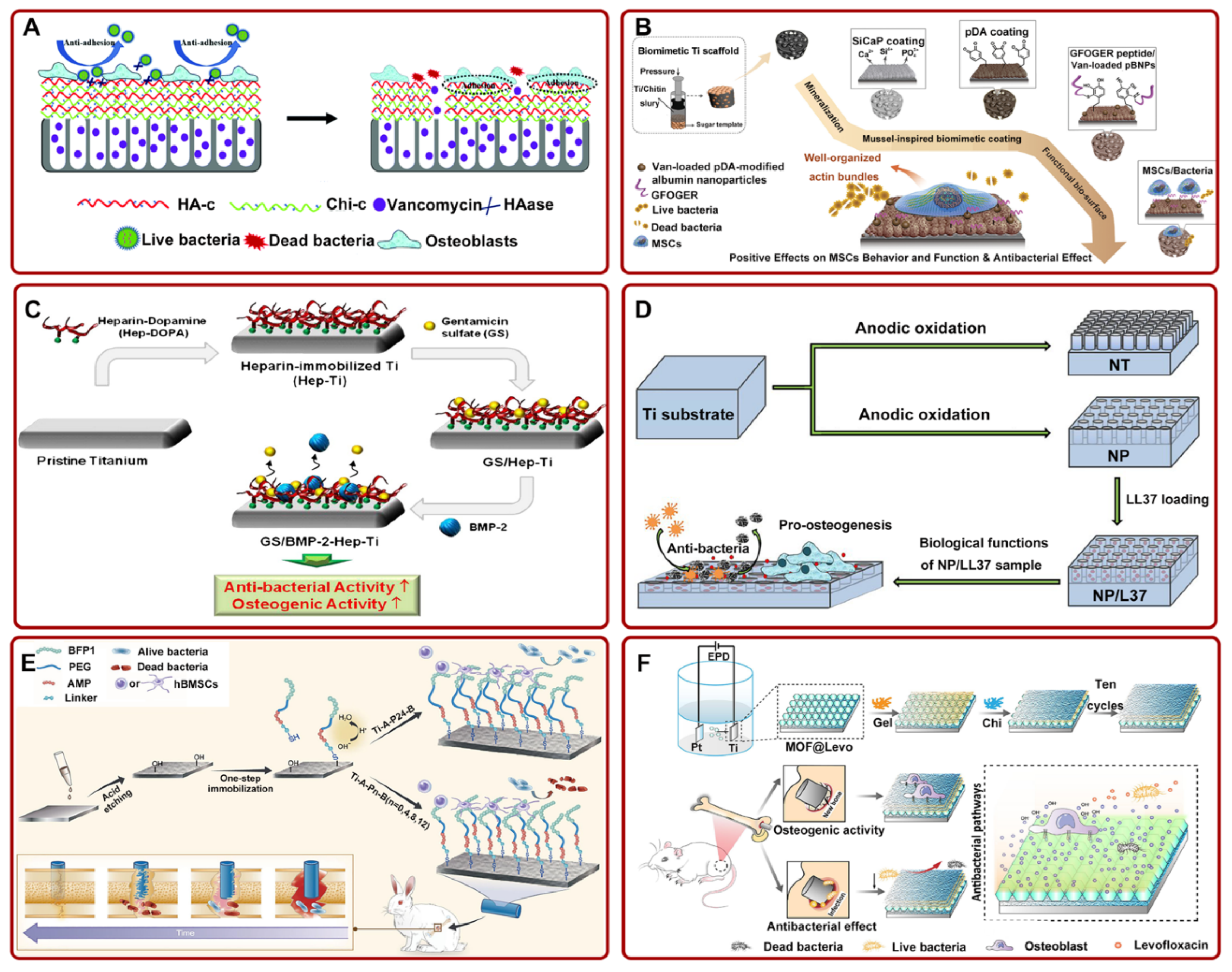 Pharmaceutics 14 01069 g002 Pharmaceutics 14 01069 g002