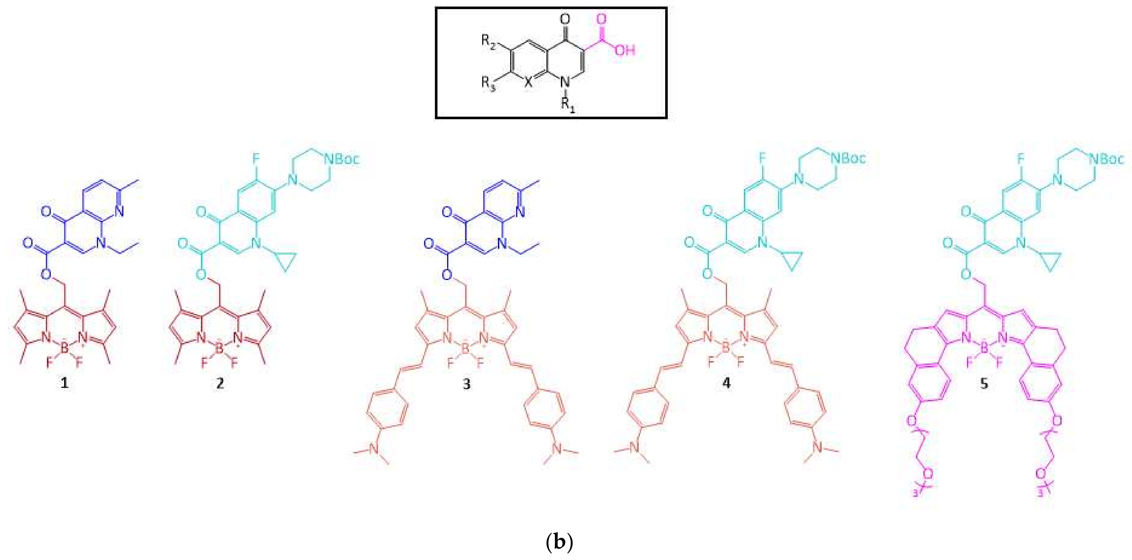 Pharmaceutics 14 01070 g001b 550